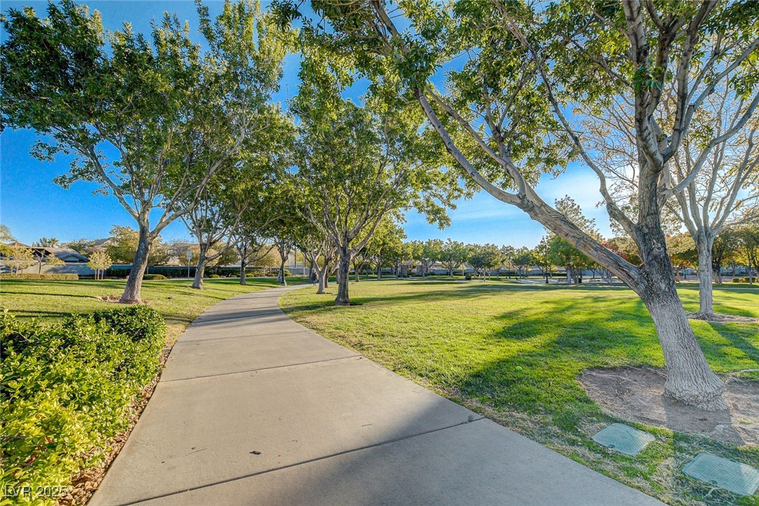 10397 Walking View Court