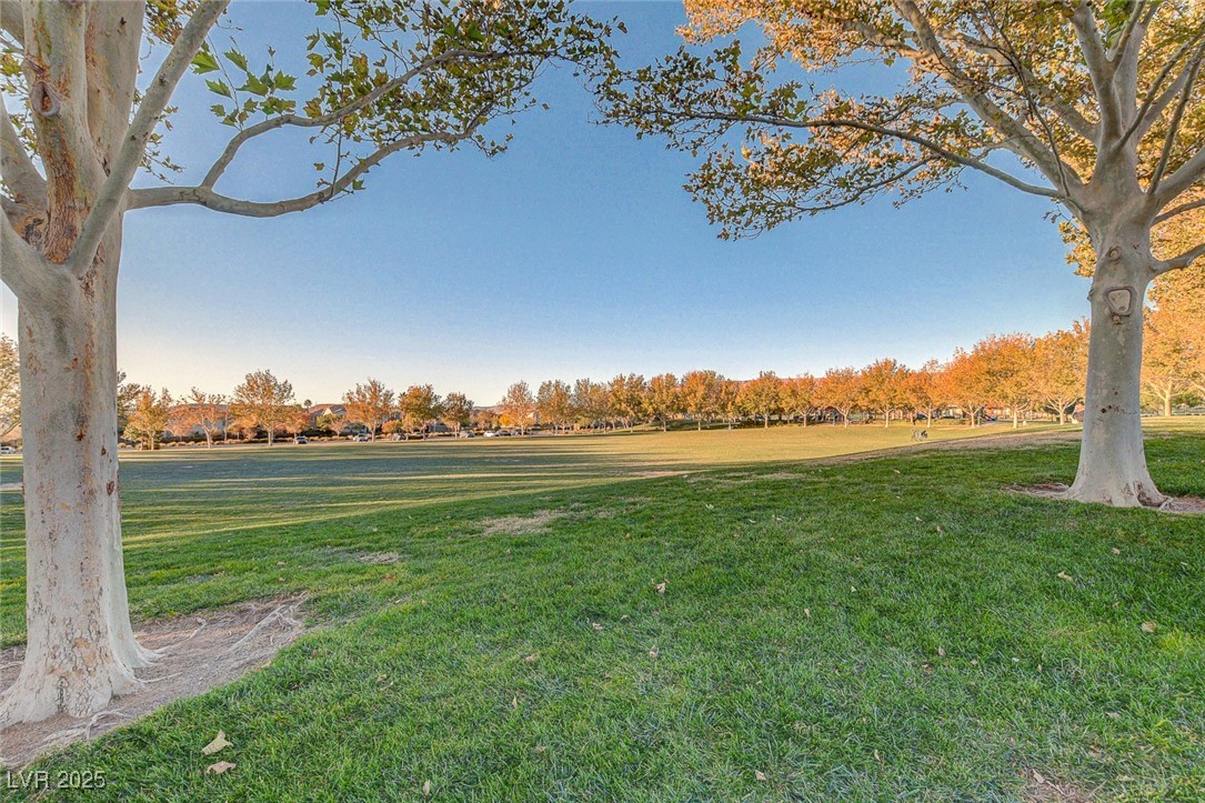 10397 Walking View Court