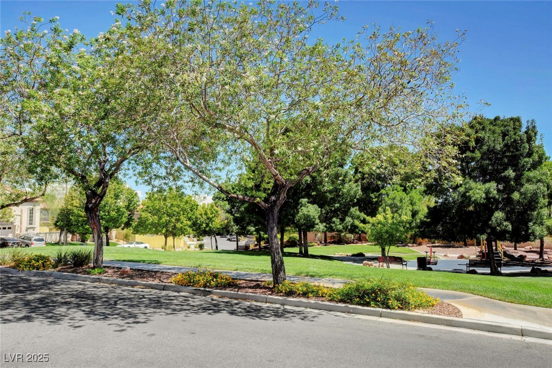 2195 Summer Home Street