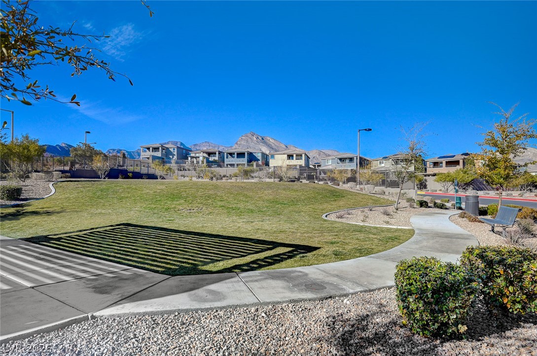 373 Purple Sandpiper Street