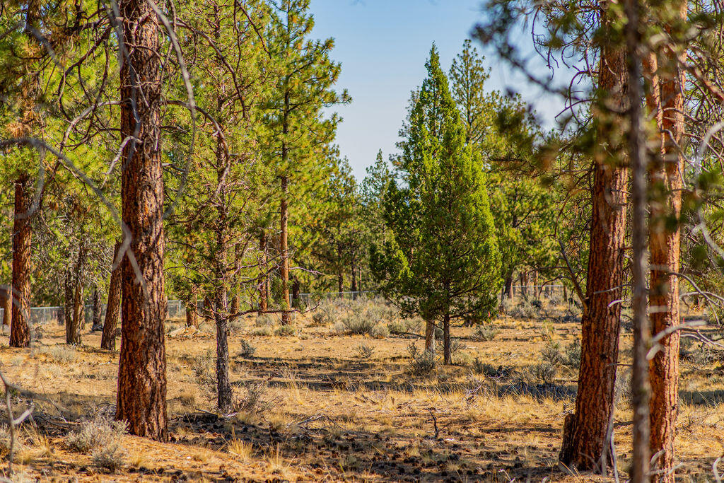 19128 Concannon. Lot 13 Drive