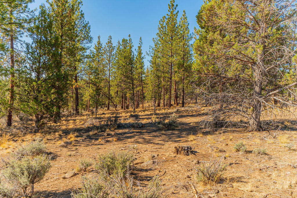 62974 Levins, Lot 9 Lane