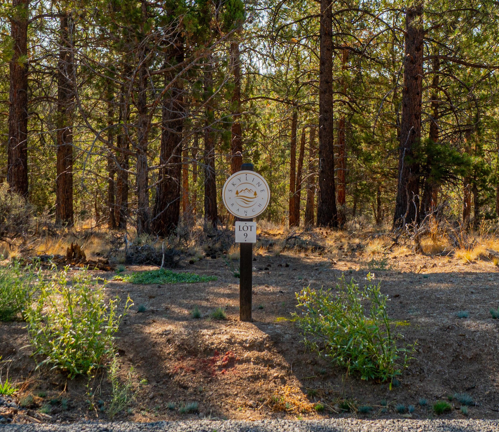 62974 Levins, Lot 9 Lane