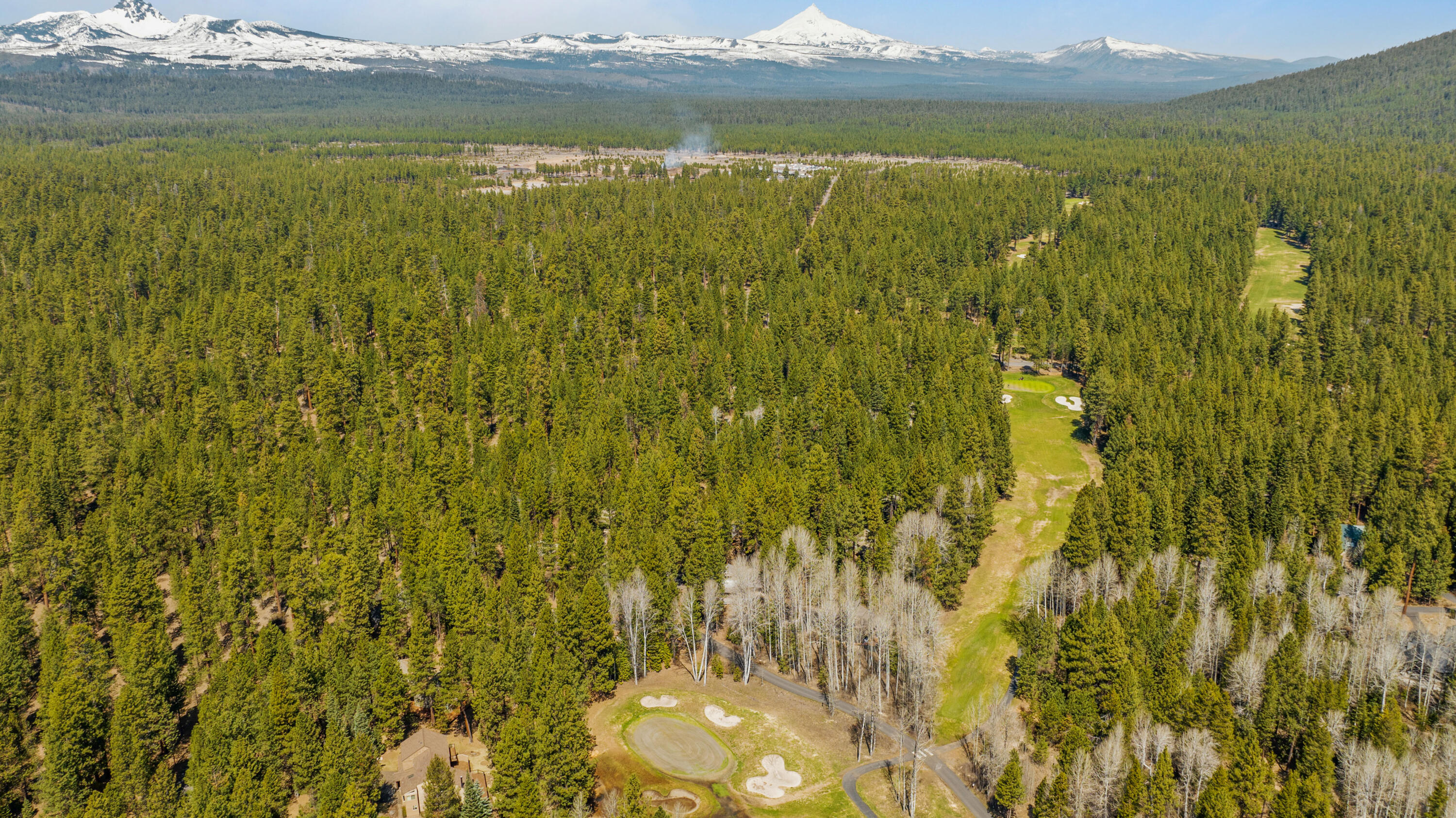 70816 Shepards Purse