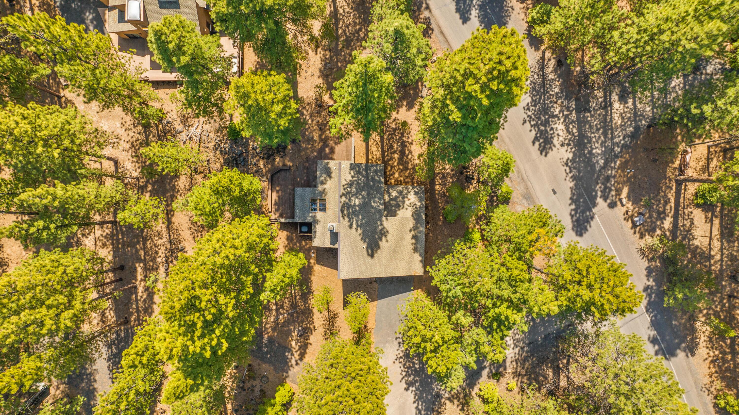 70816 Shepards Purse