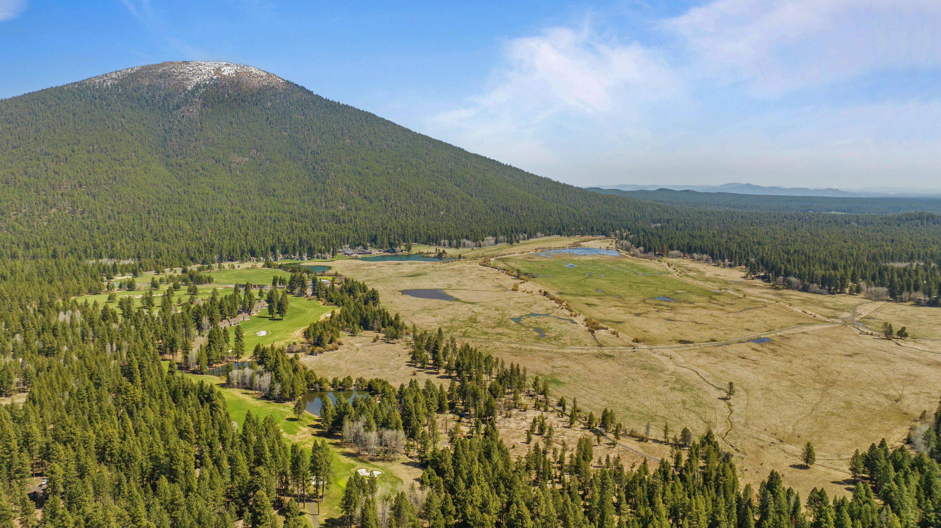 70816 Shepards Purse