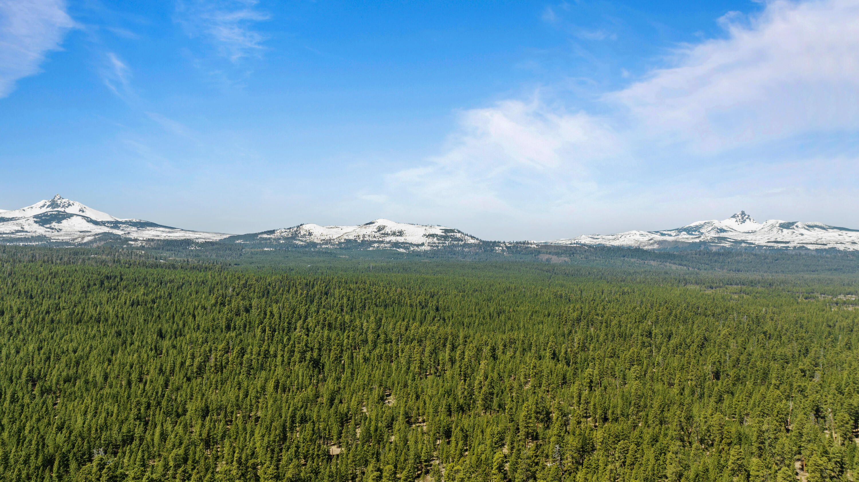 70816 Shepards Purse