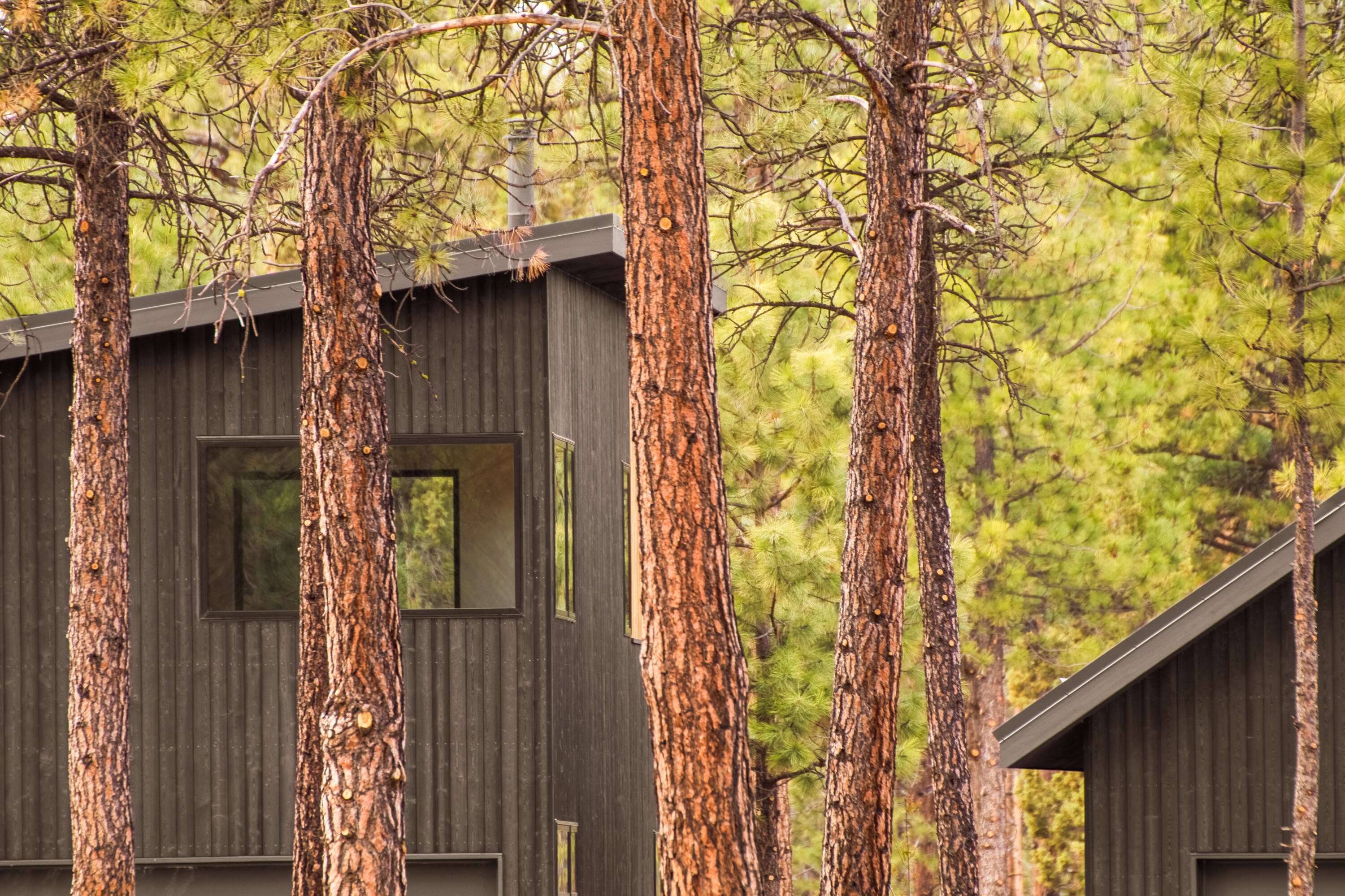 518 W Elder Way Unit: Lot 32