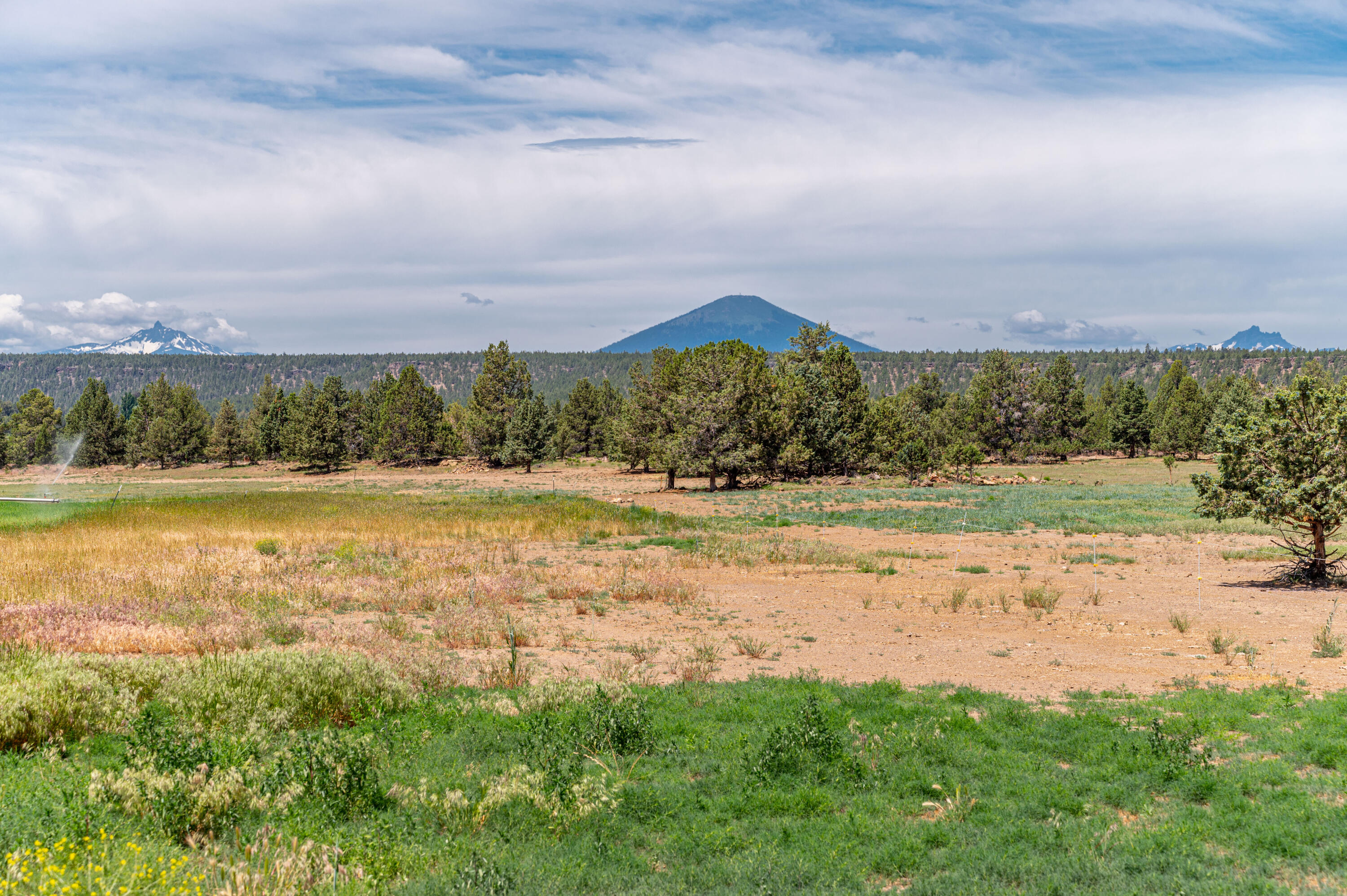 71375 NW Lower Bridge Way