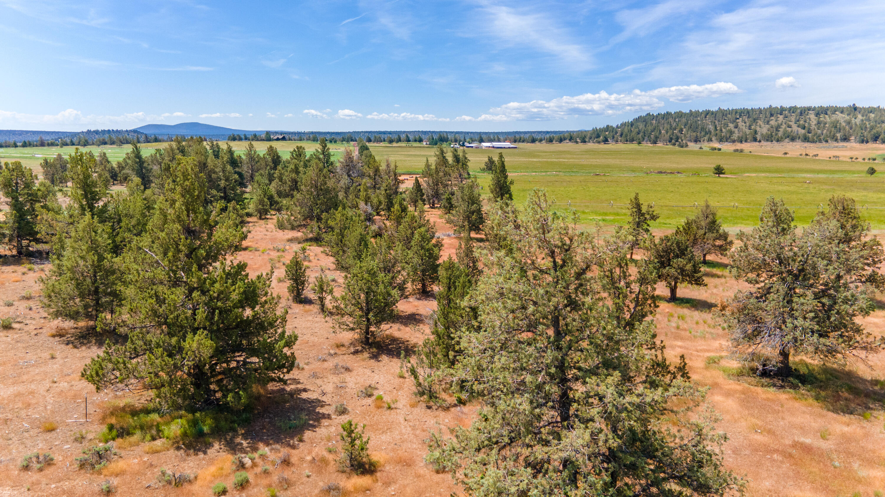 71375 NW Lower Bridge Way