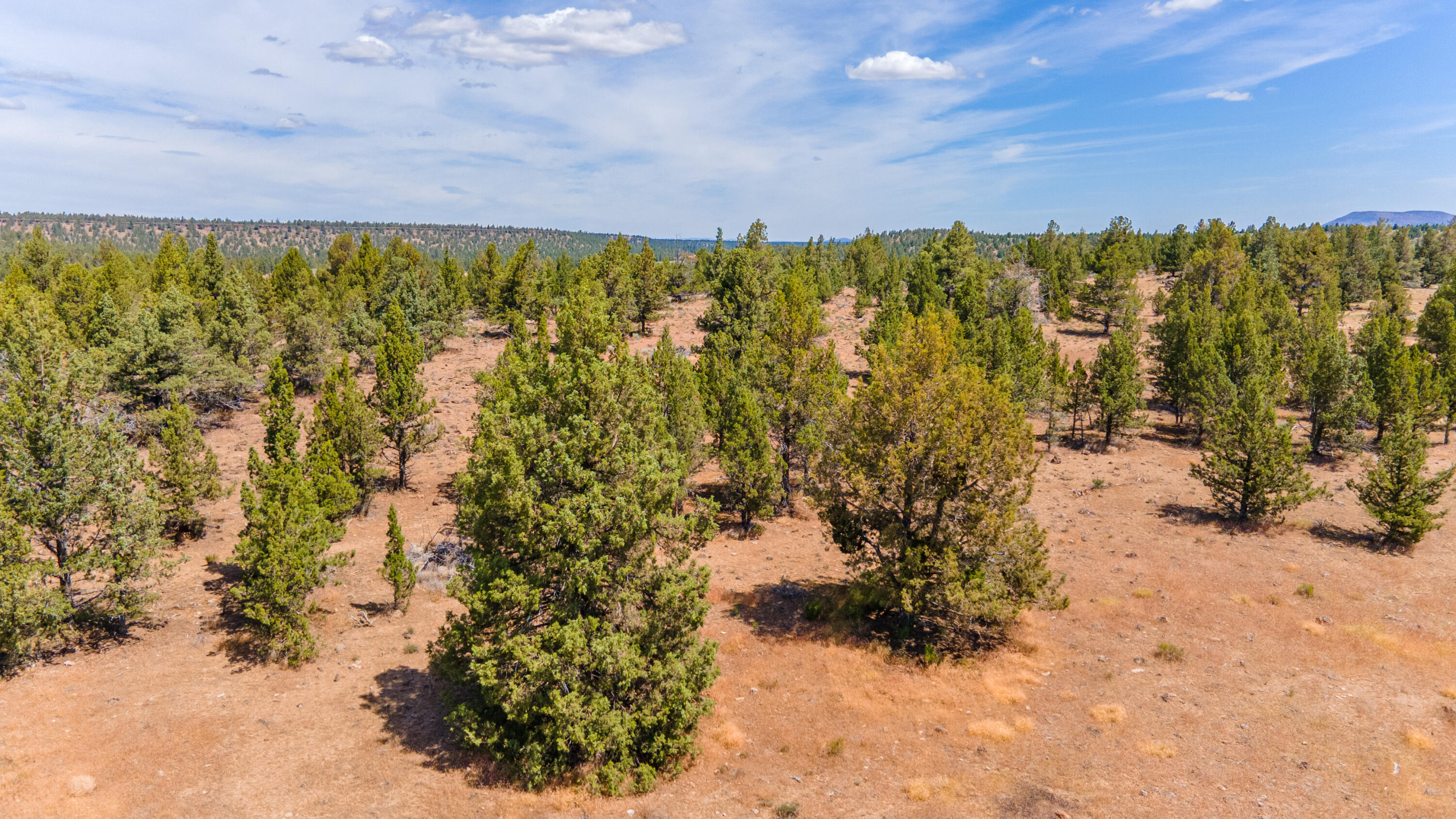 71375 NW Lower Bridge Way