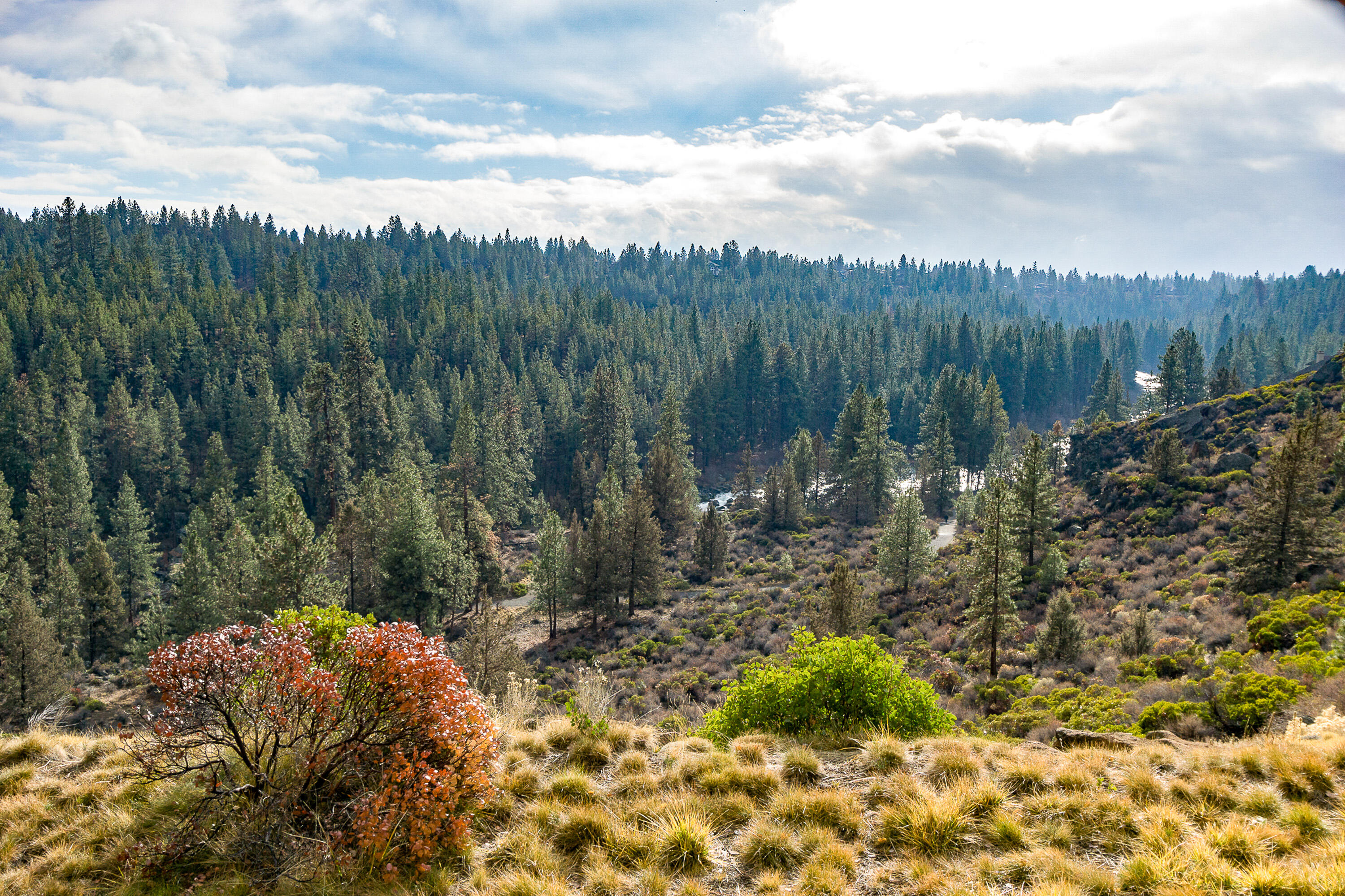 19717 SW Mount Bachelor Drive Unit: 330C