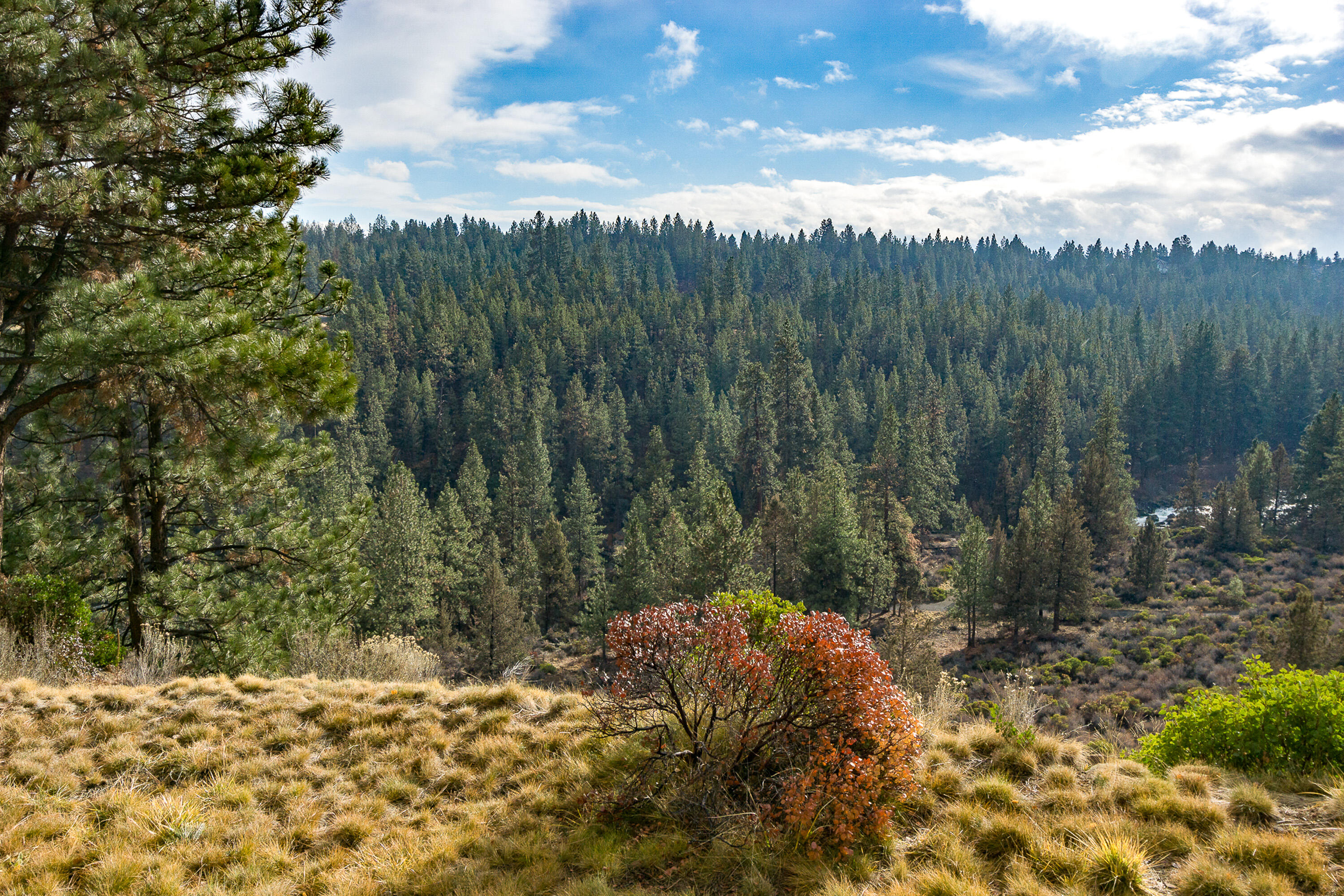 19717 SW Mount Bachelor Drive Unit: 330C