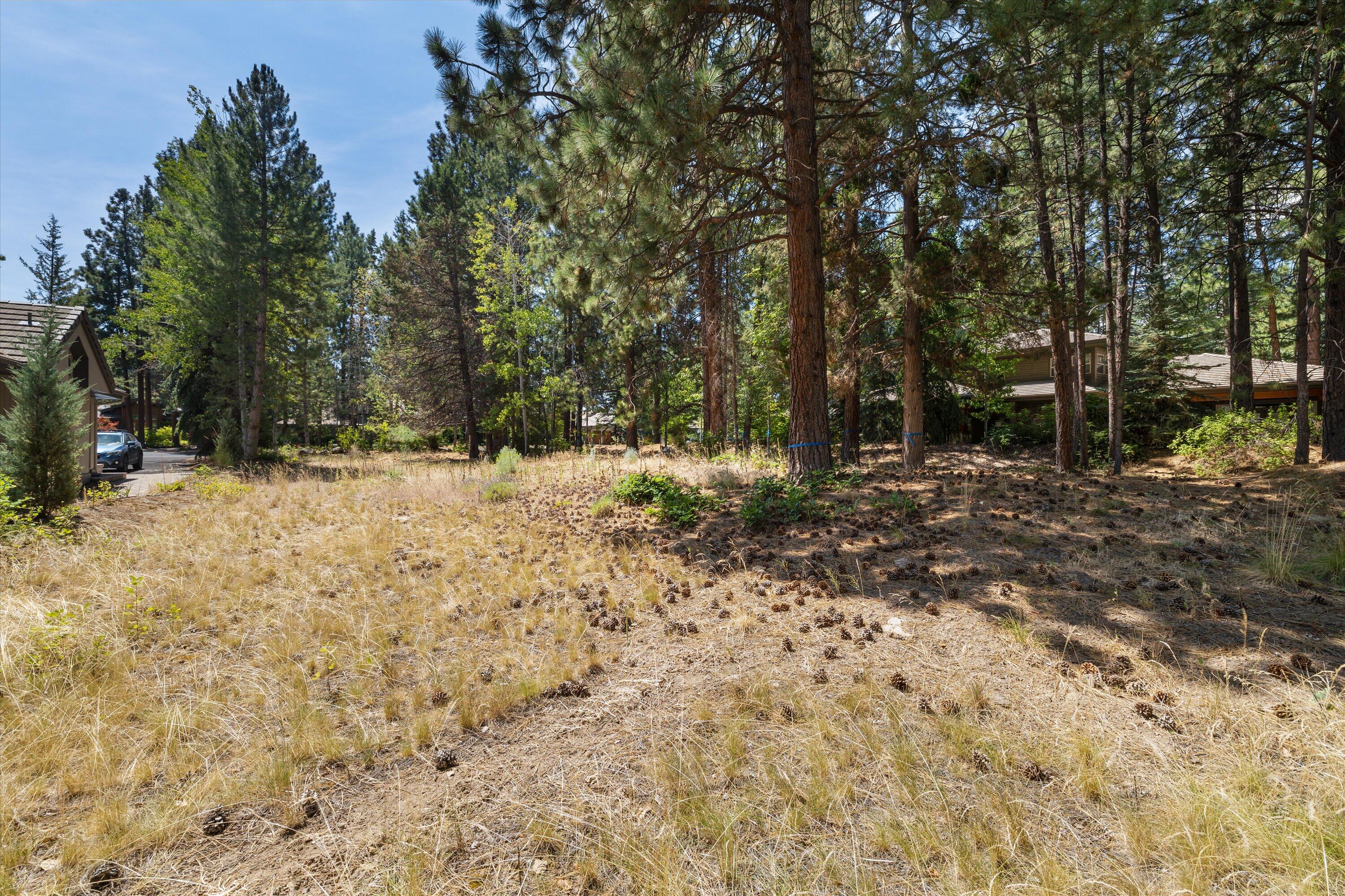 19364 Soda Springs Drive