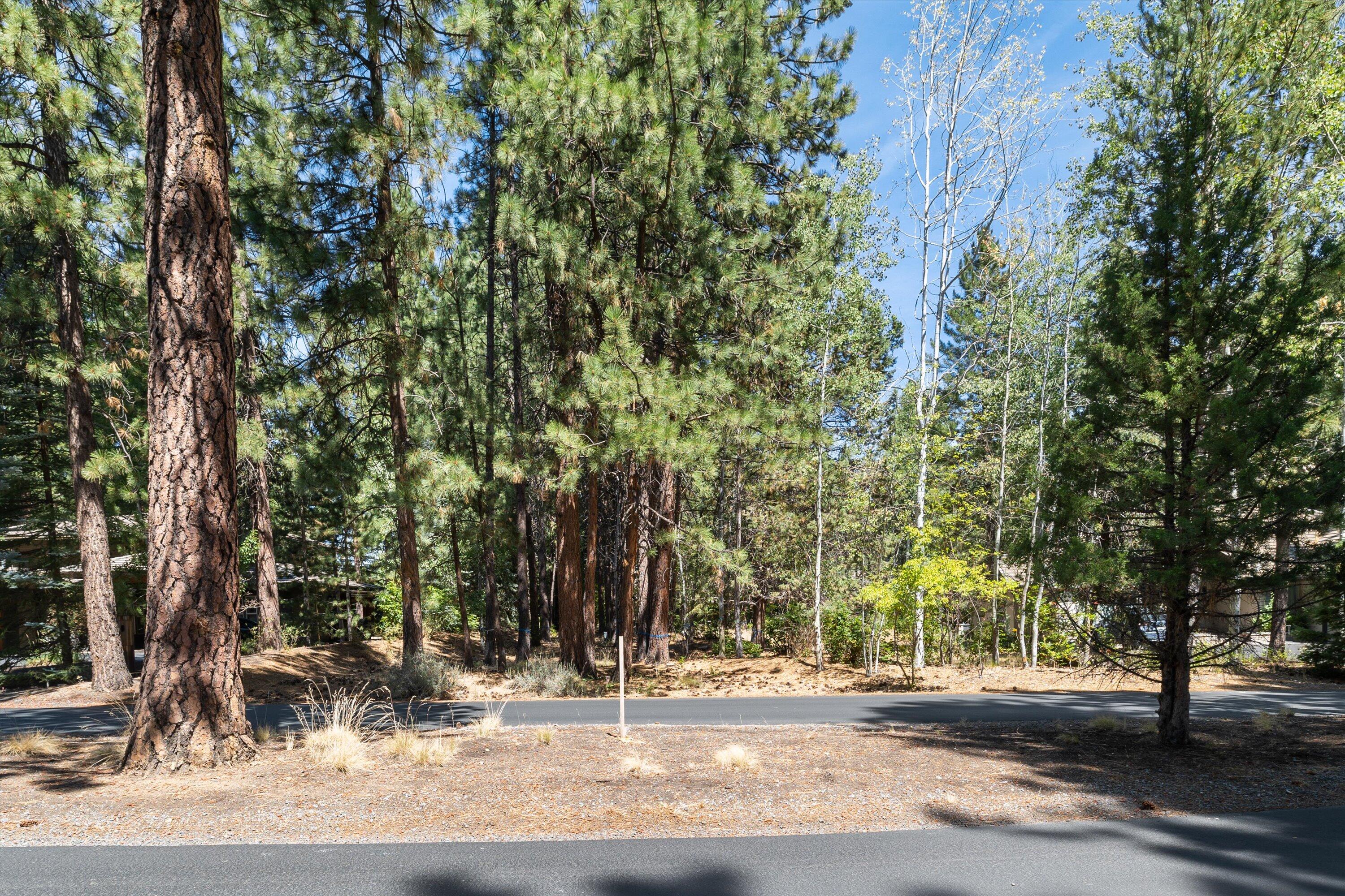 19364 Soda Springs Drive