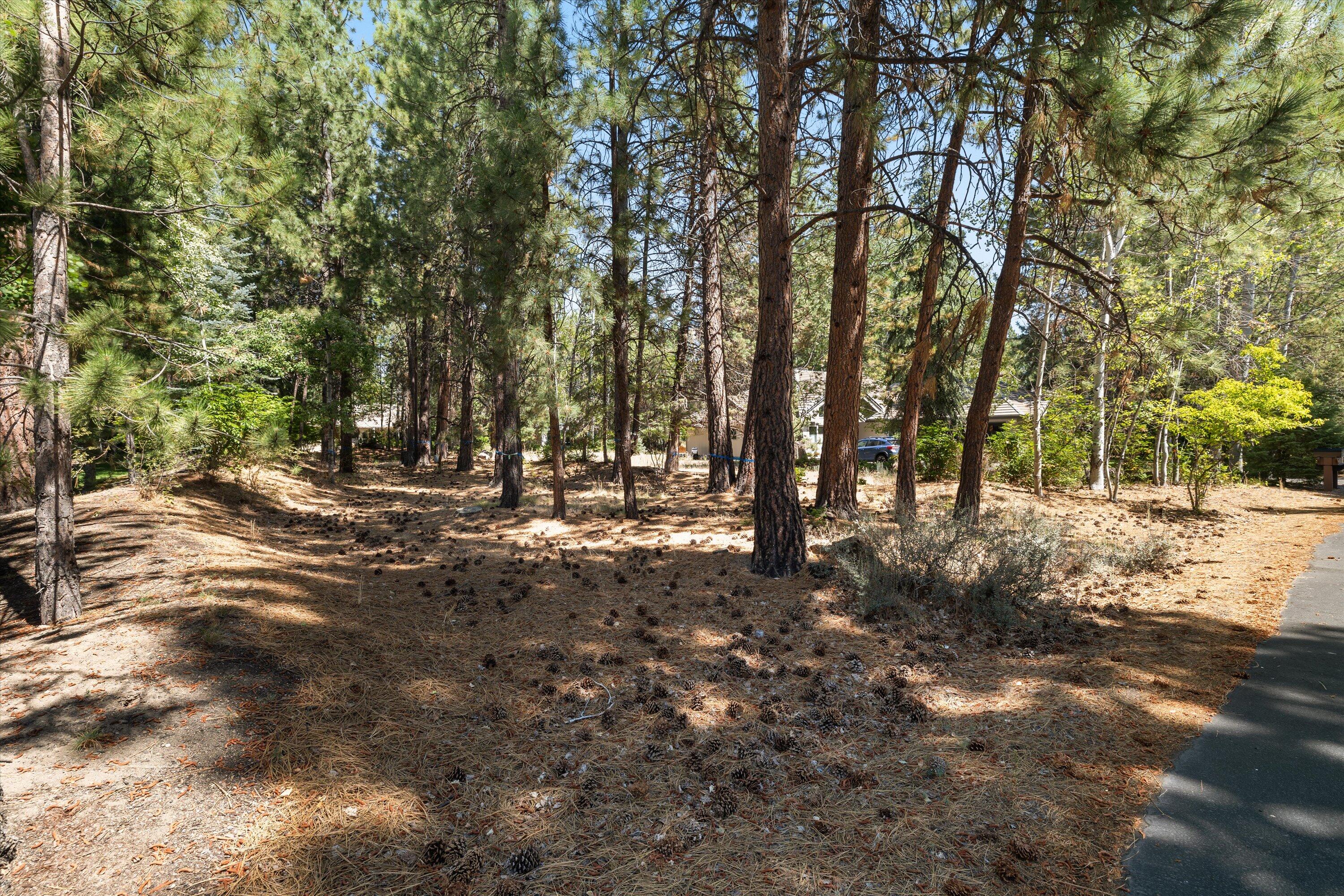 19364 Soda Springs Drive
