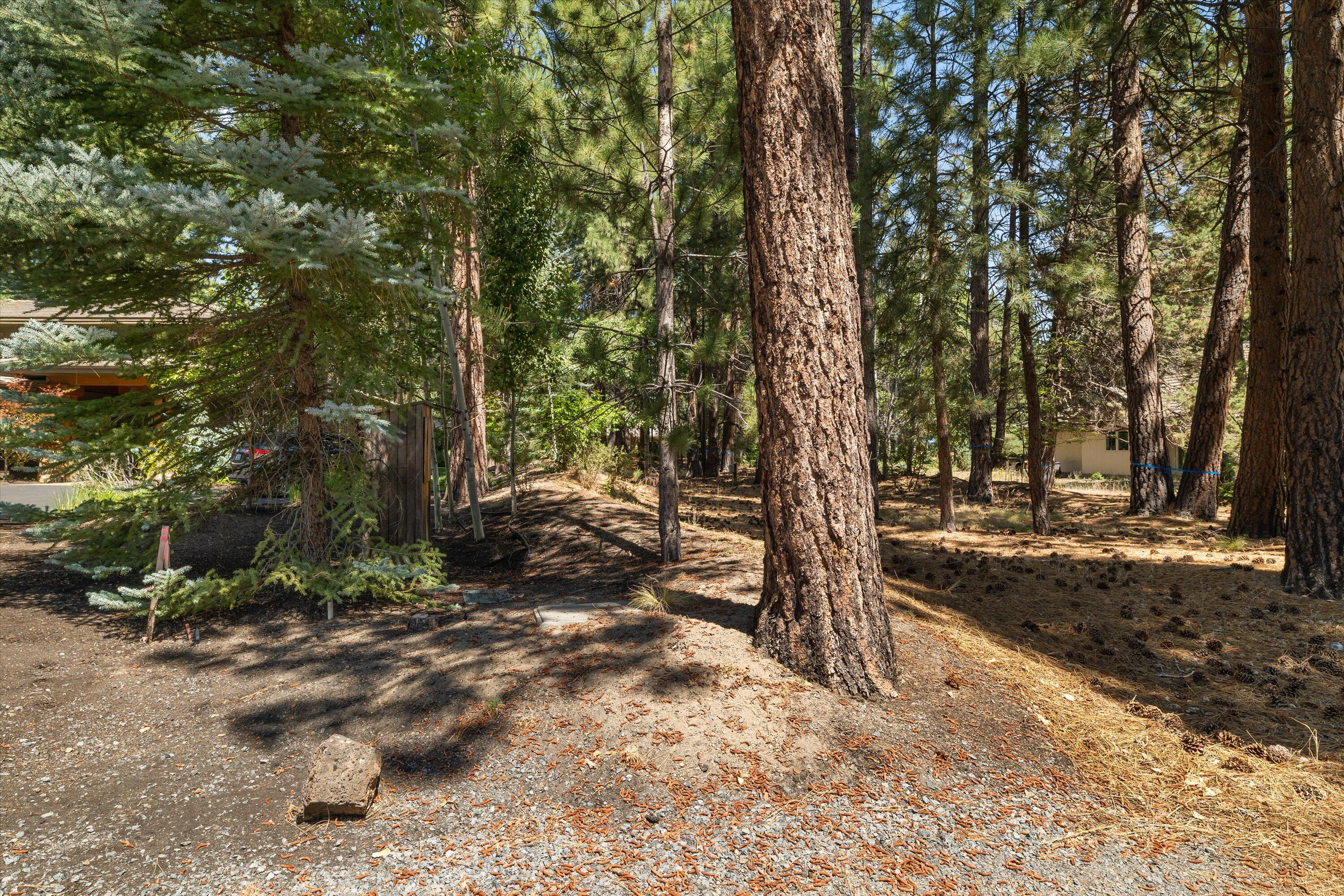 19364 Soda Springs Drive