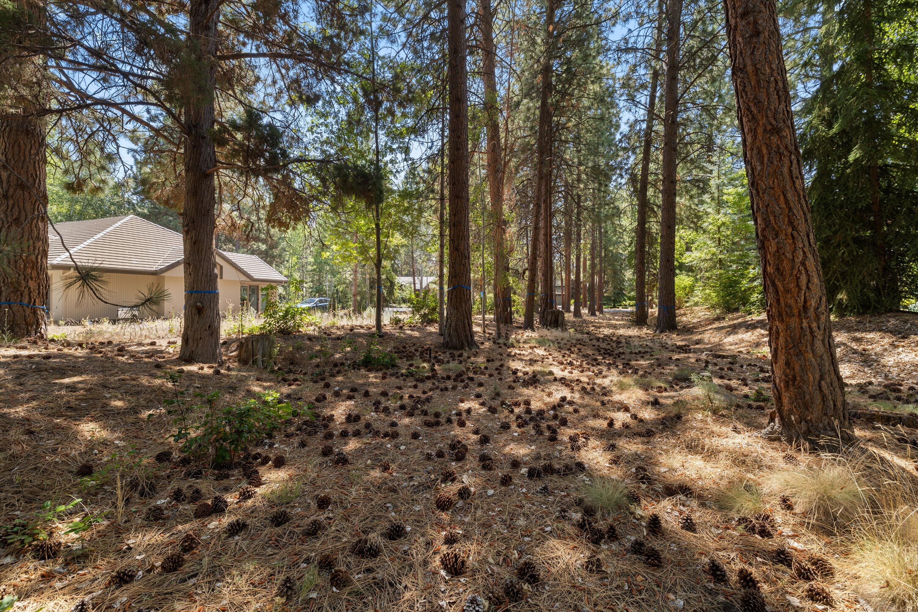 19364 Soda Springs Drive