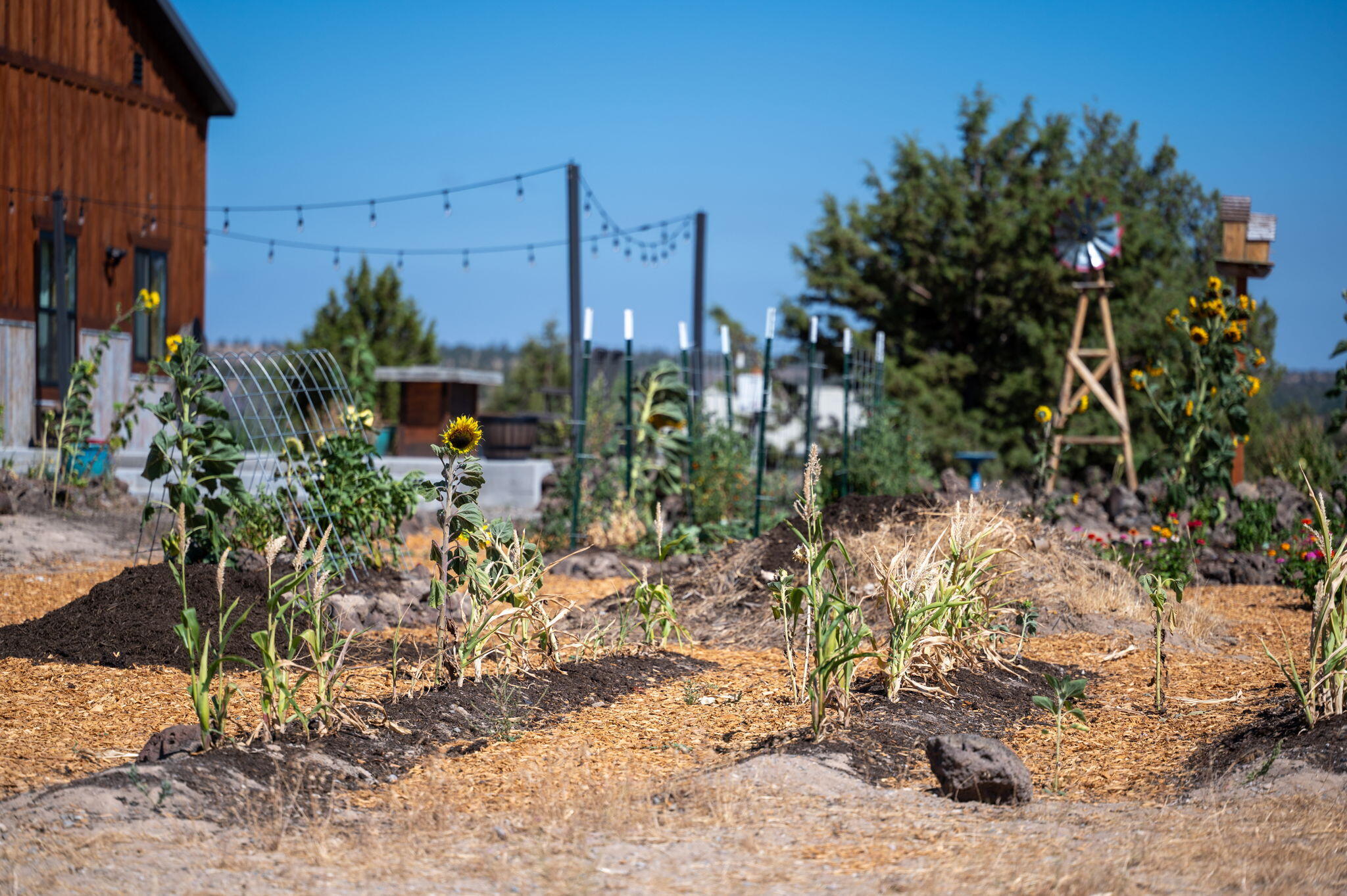 6456 SE Gravett Road