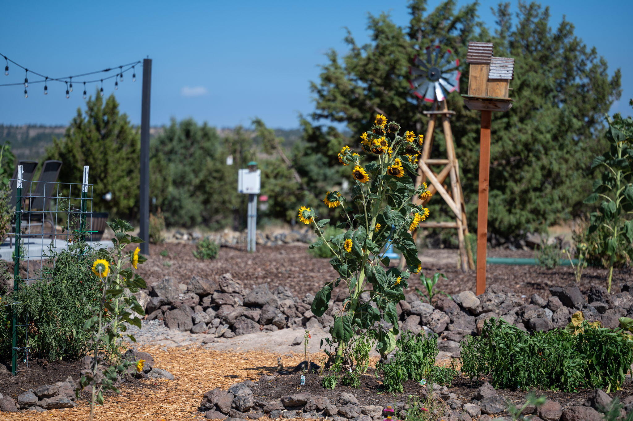 6456 SE Gravett Road