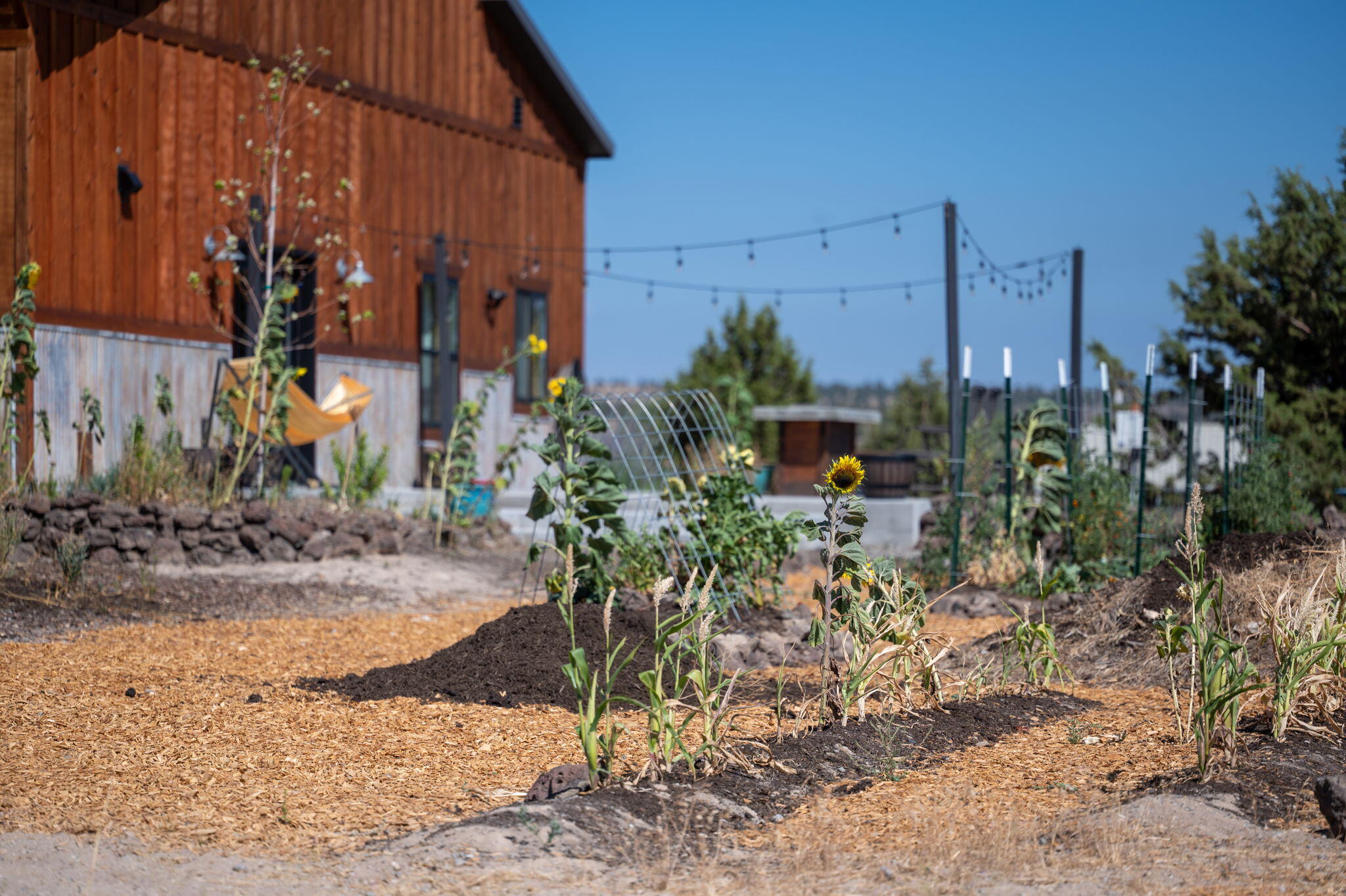 6456 SE Gravett Road