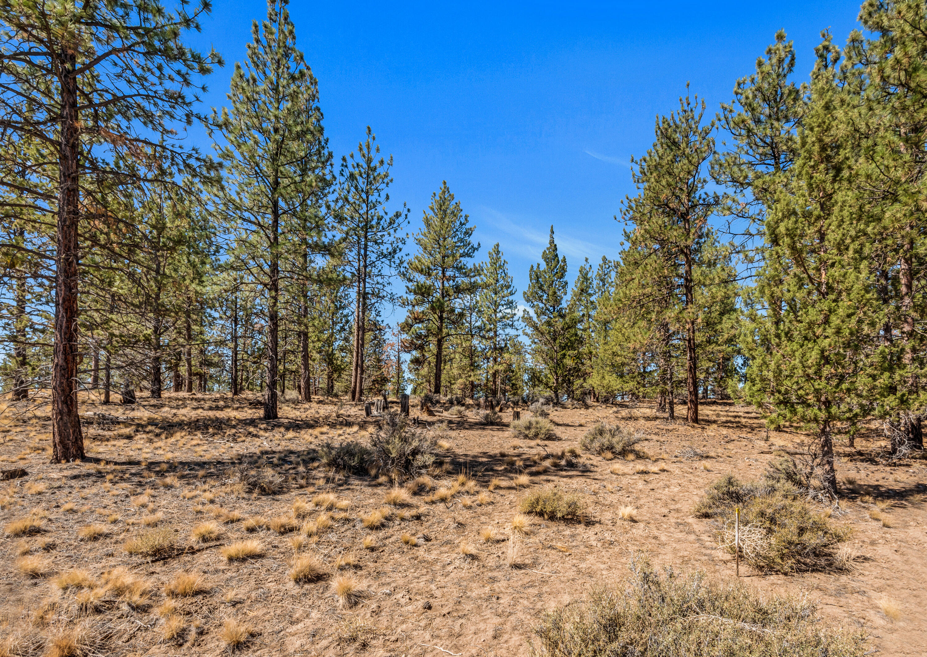 62947 Levins Lane