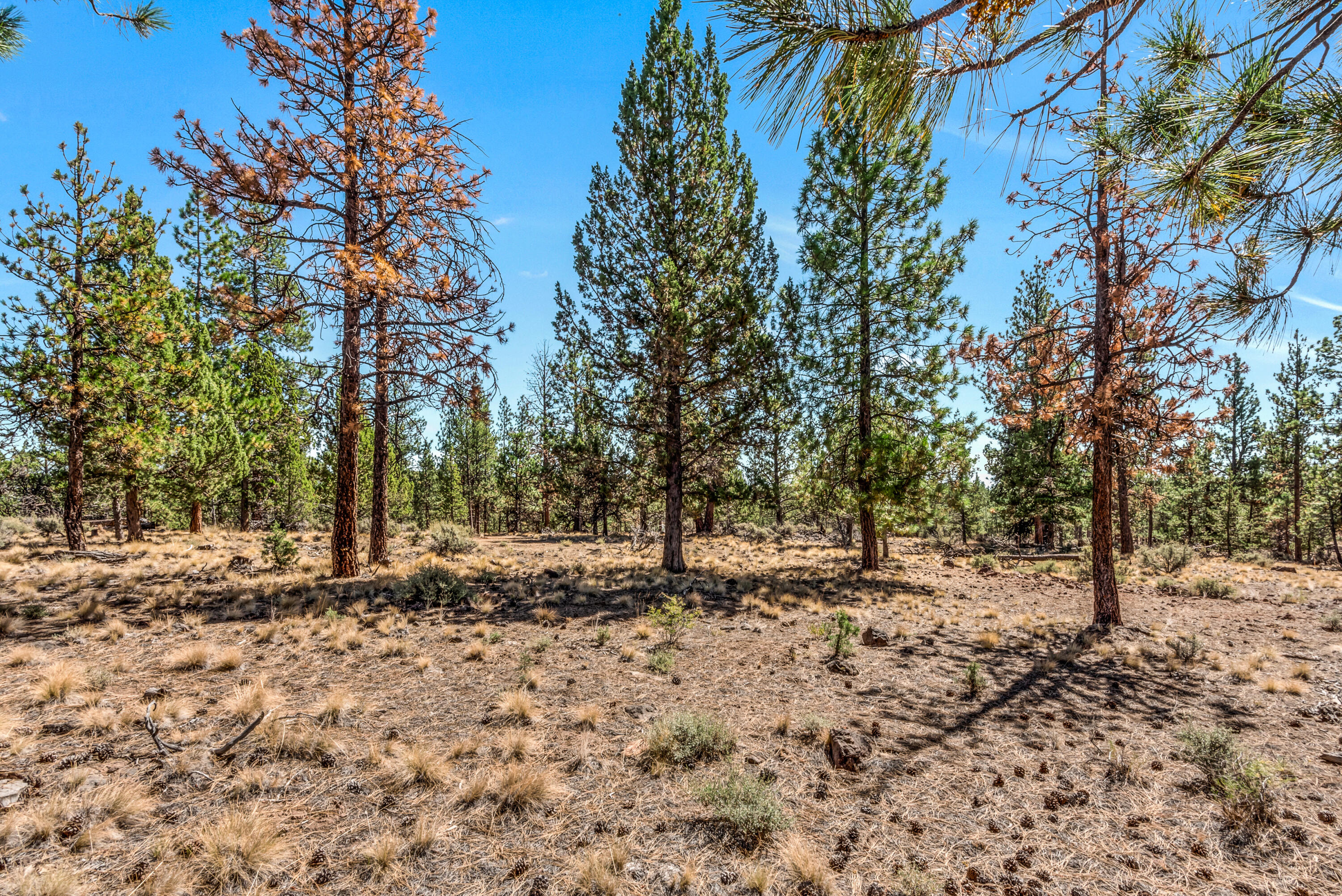 62947 Levins Lane