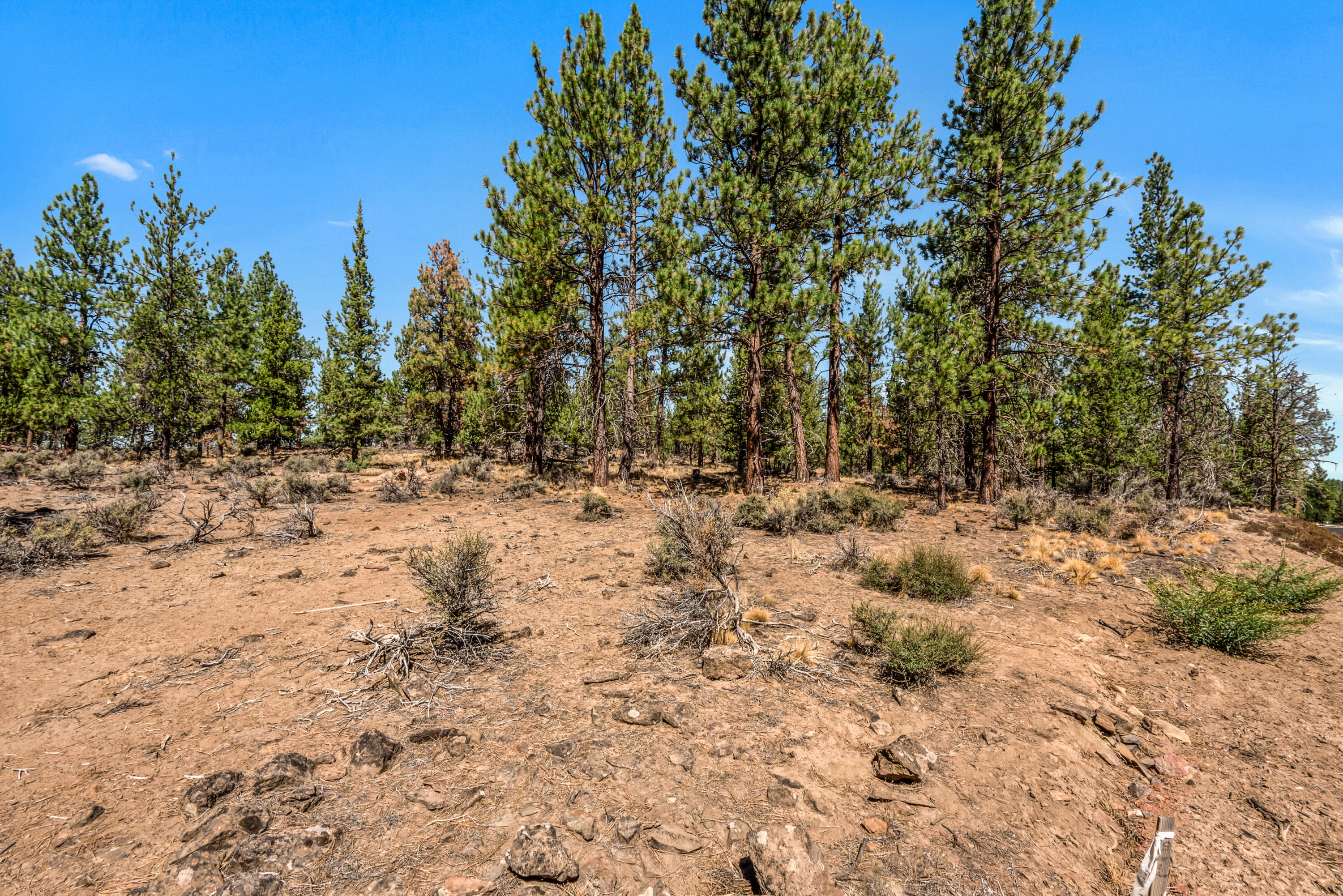 62947 Levins Lane