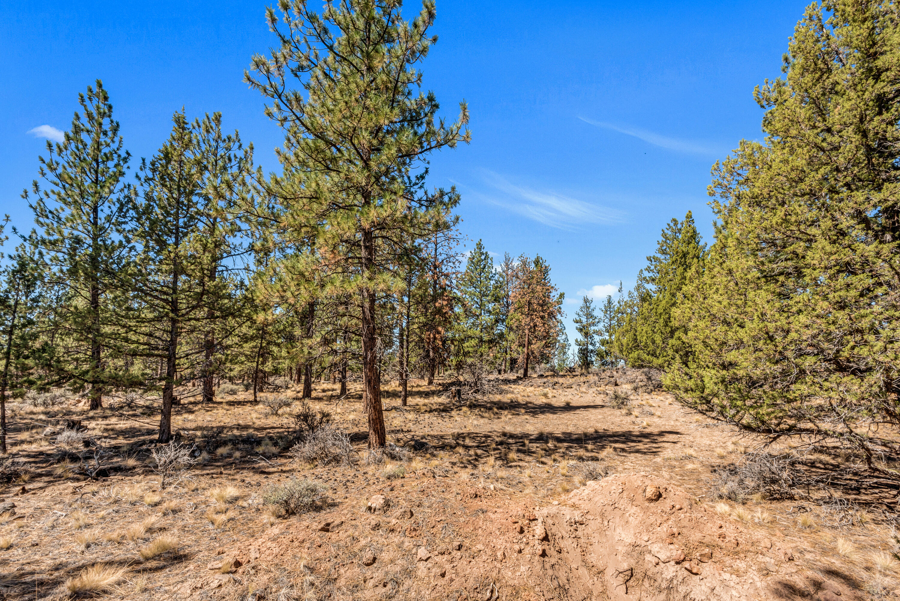 62947 Levins Lane