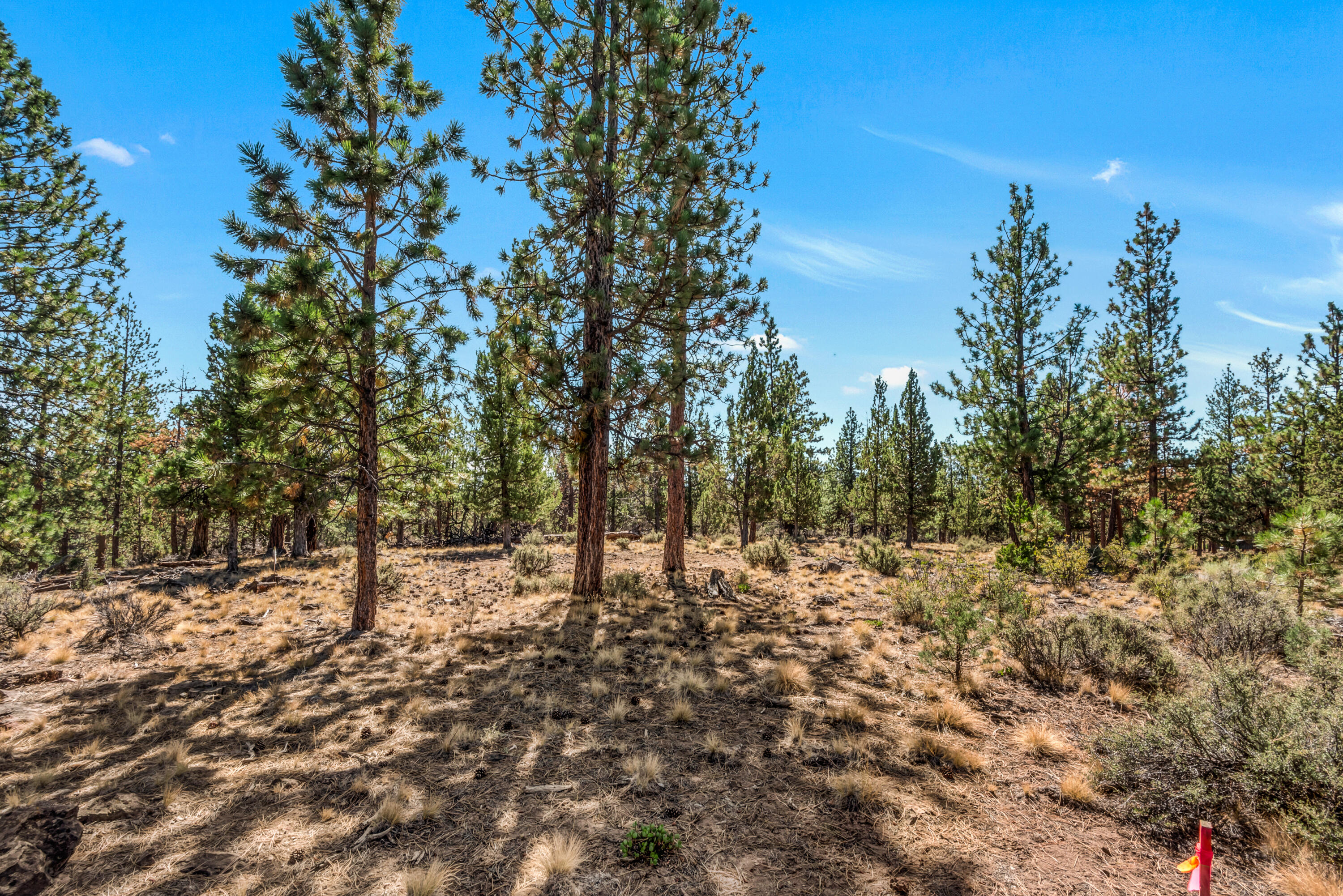 62947 Levins Lane