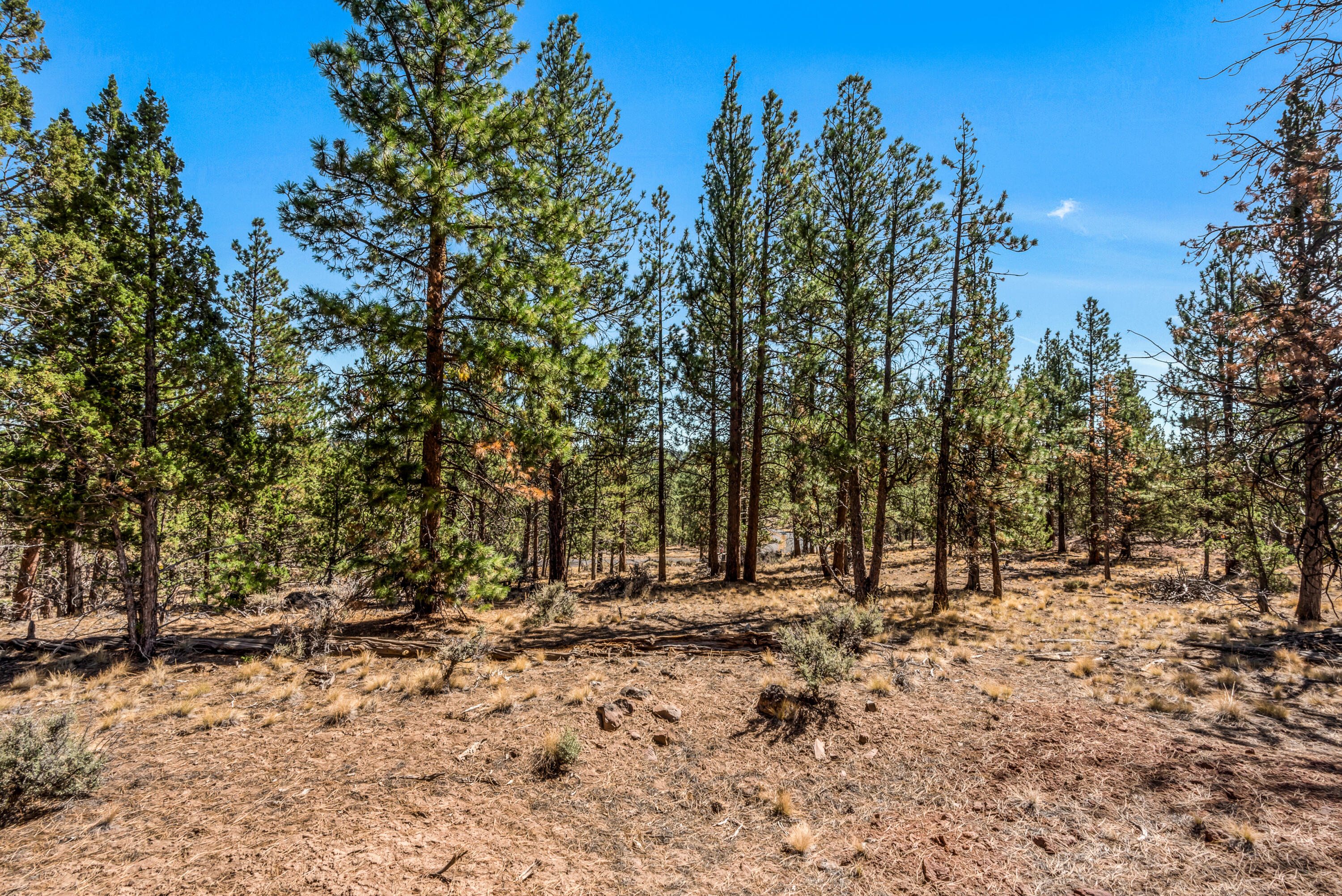 62947 Levins Lane