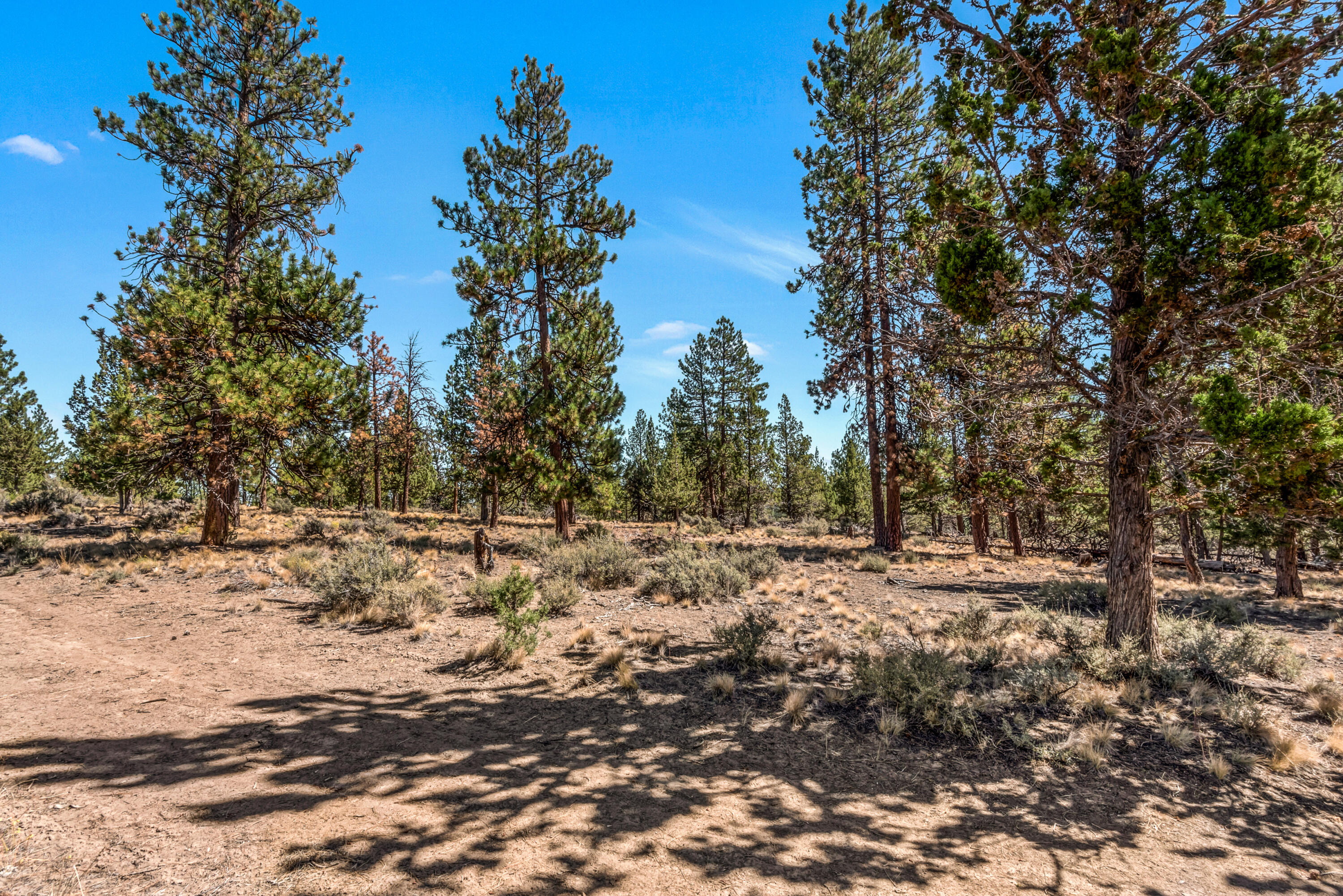62947 Levins Lane