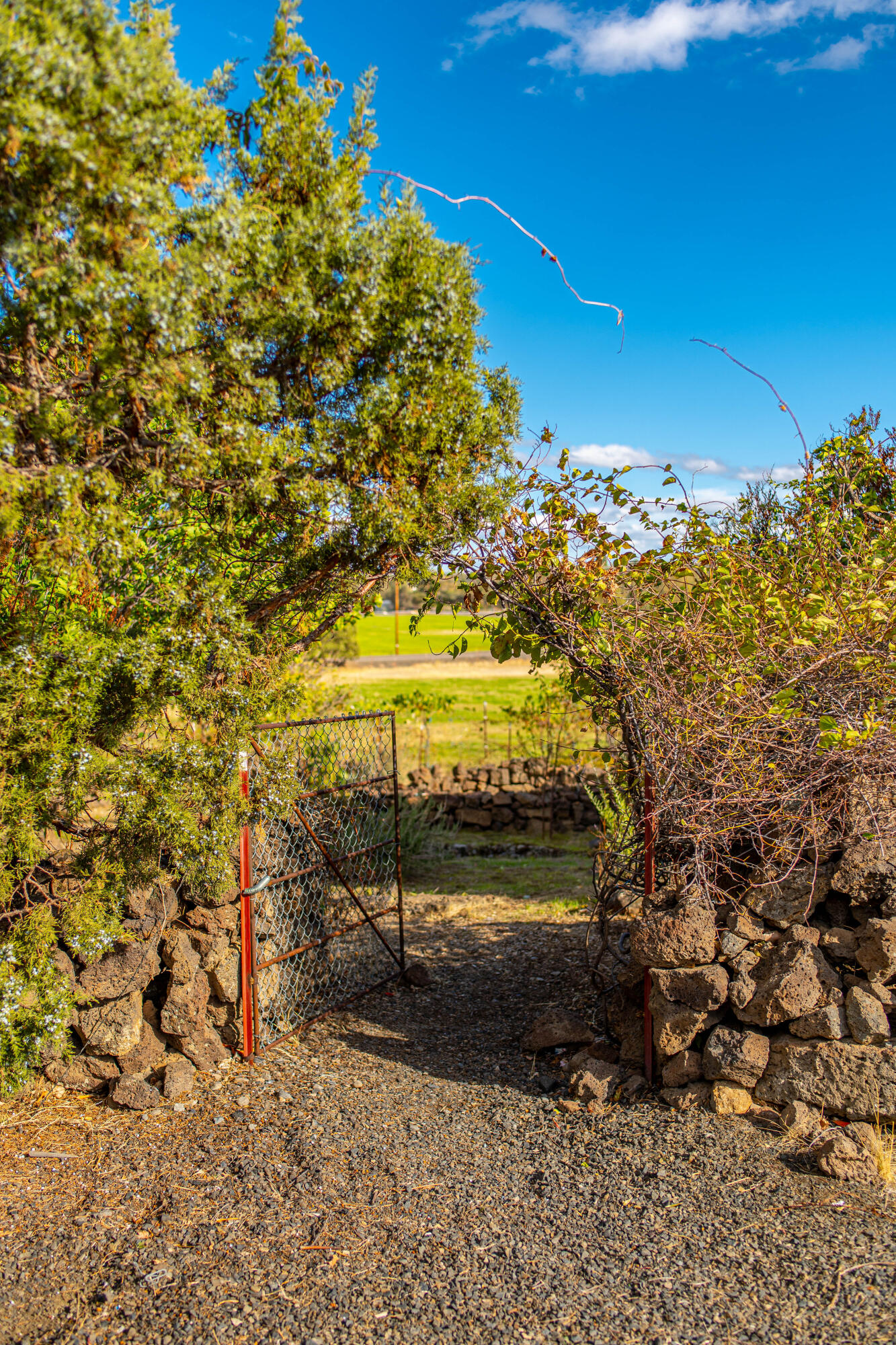 797 NE Wilcox Avenue