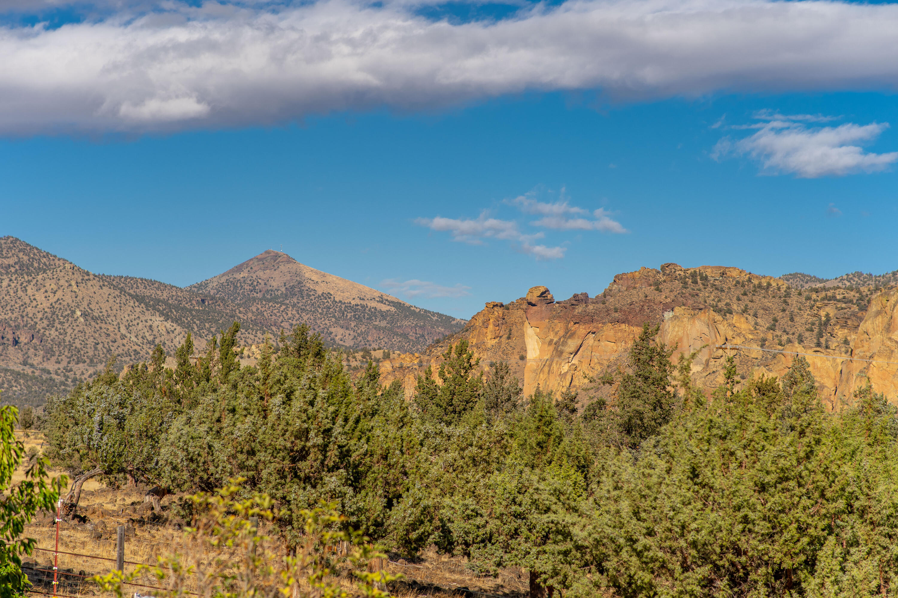 797 NE Wilcox Avenue