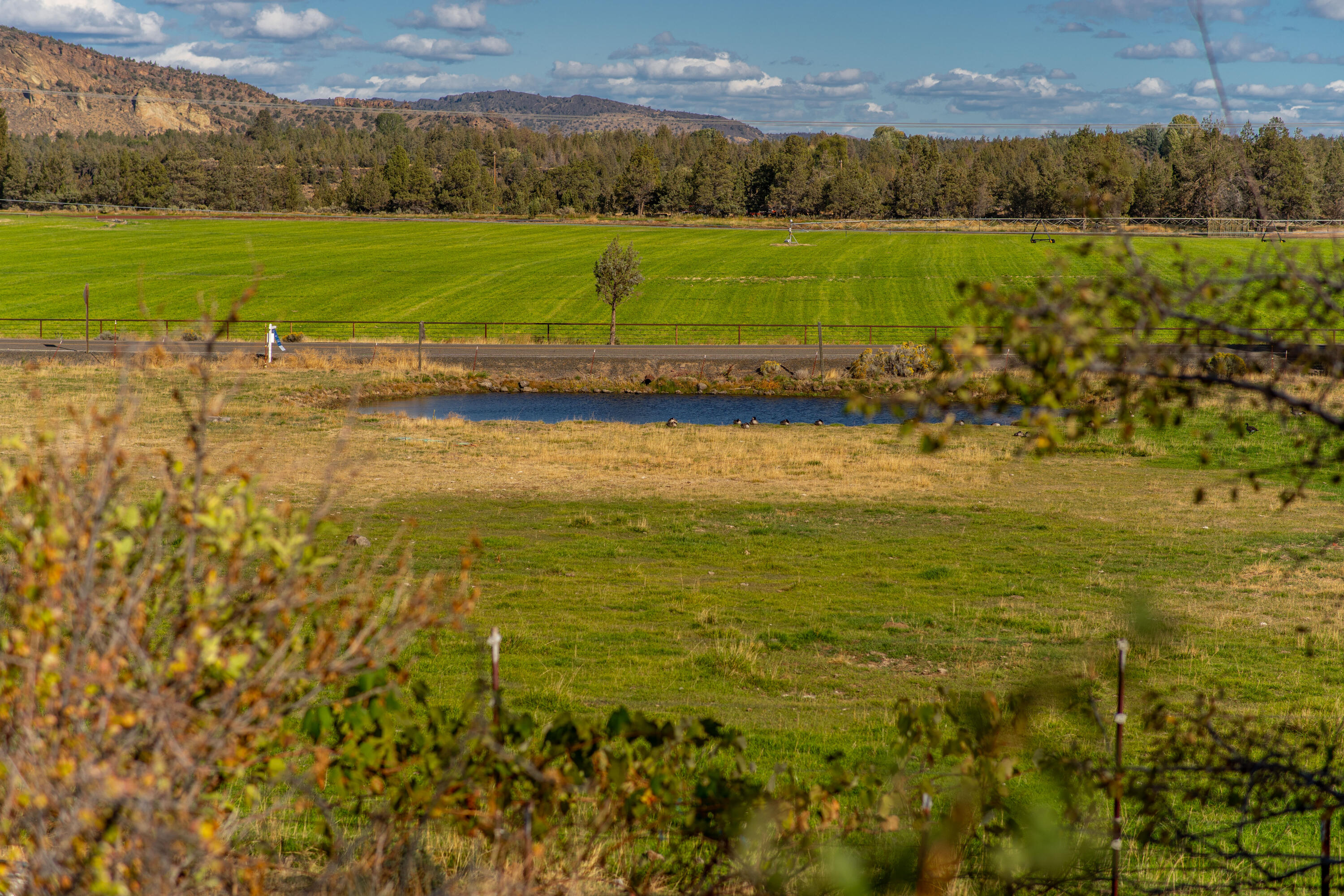 797 NE Wilcox Avenue