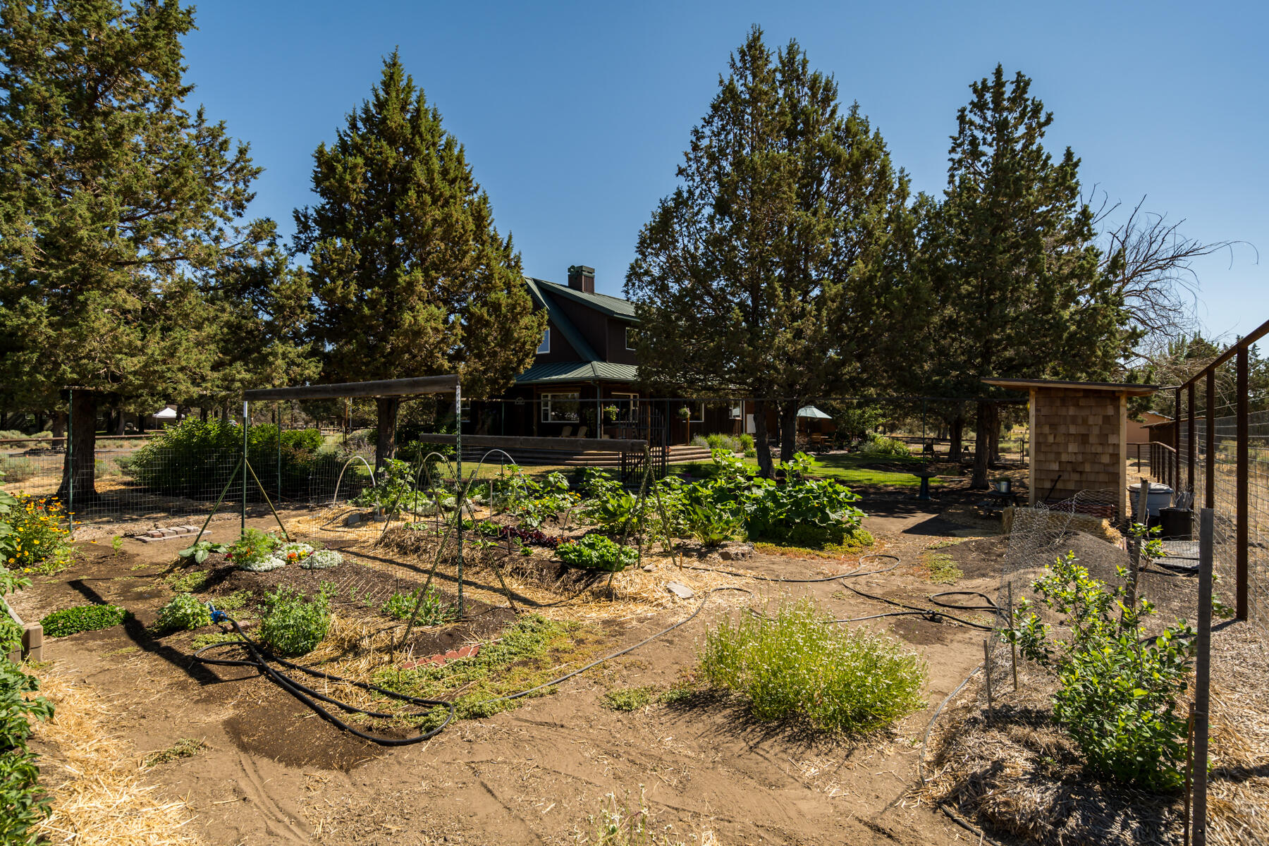 62860 Dickey Road
