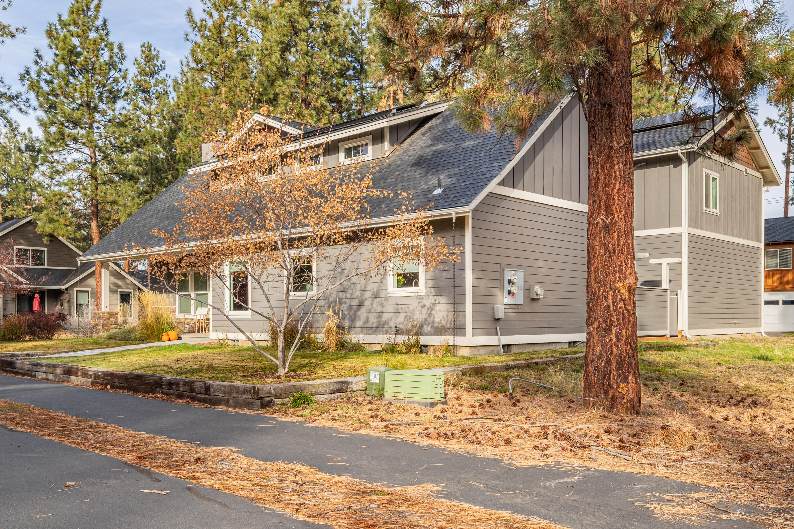 972 E Timber Pine Drive