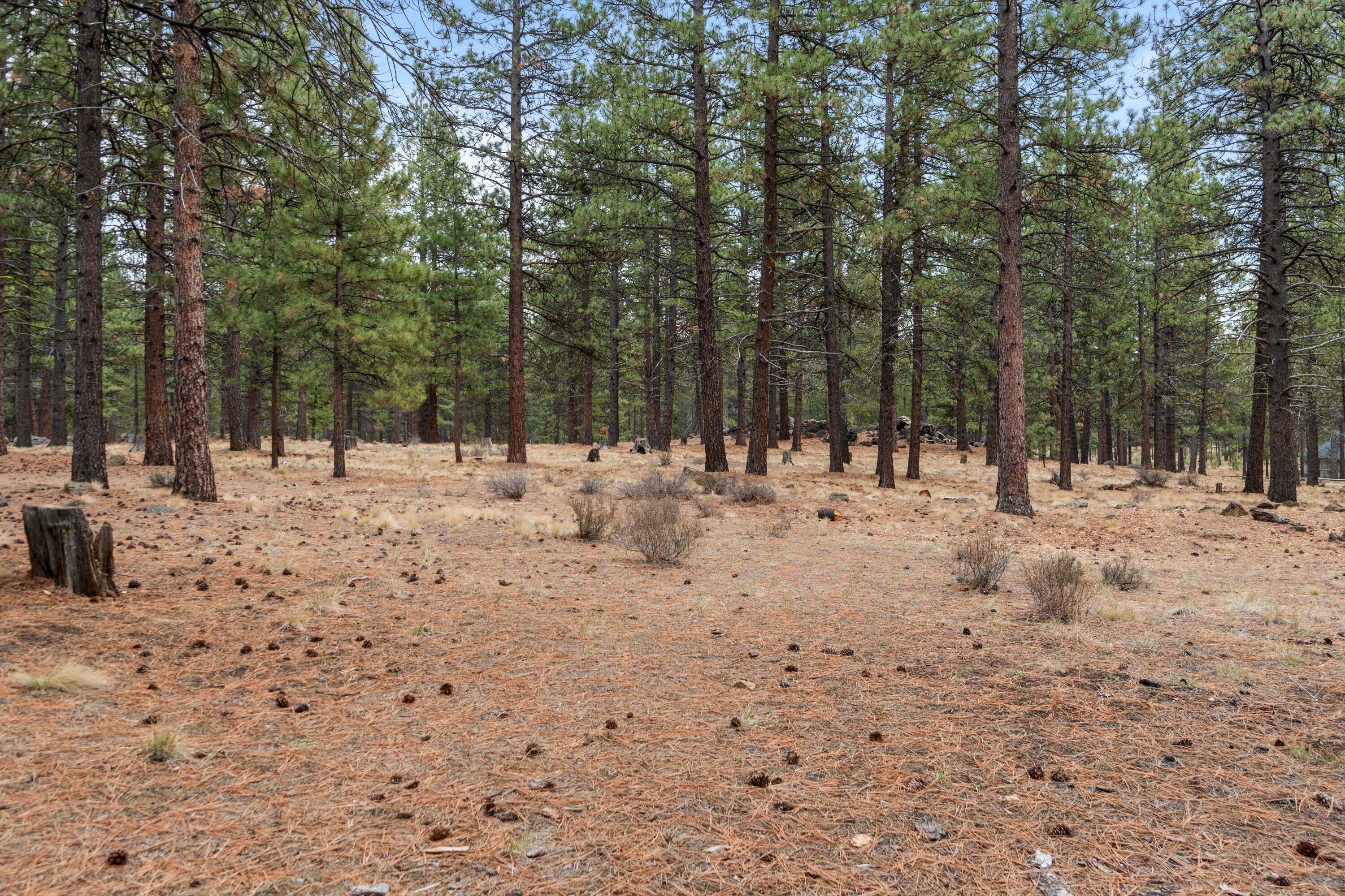 57444 Quartz Mountain Lane