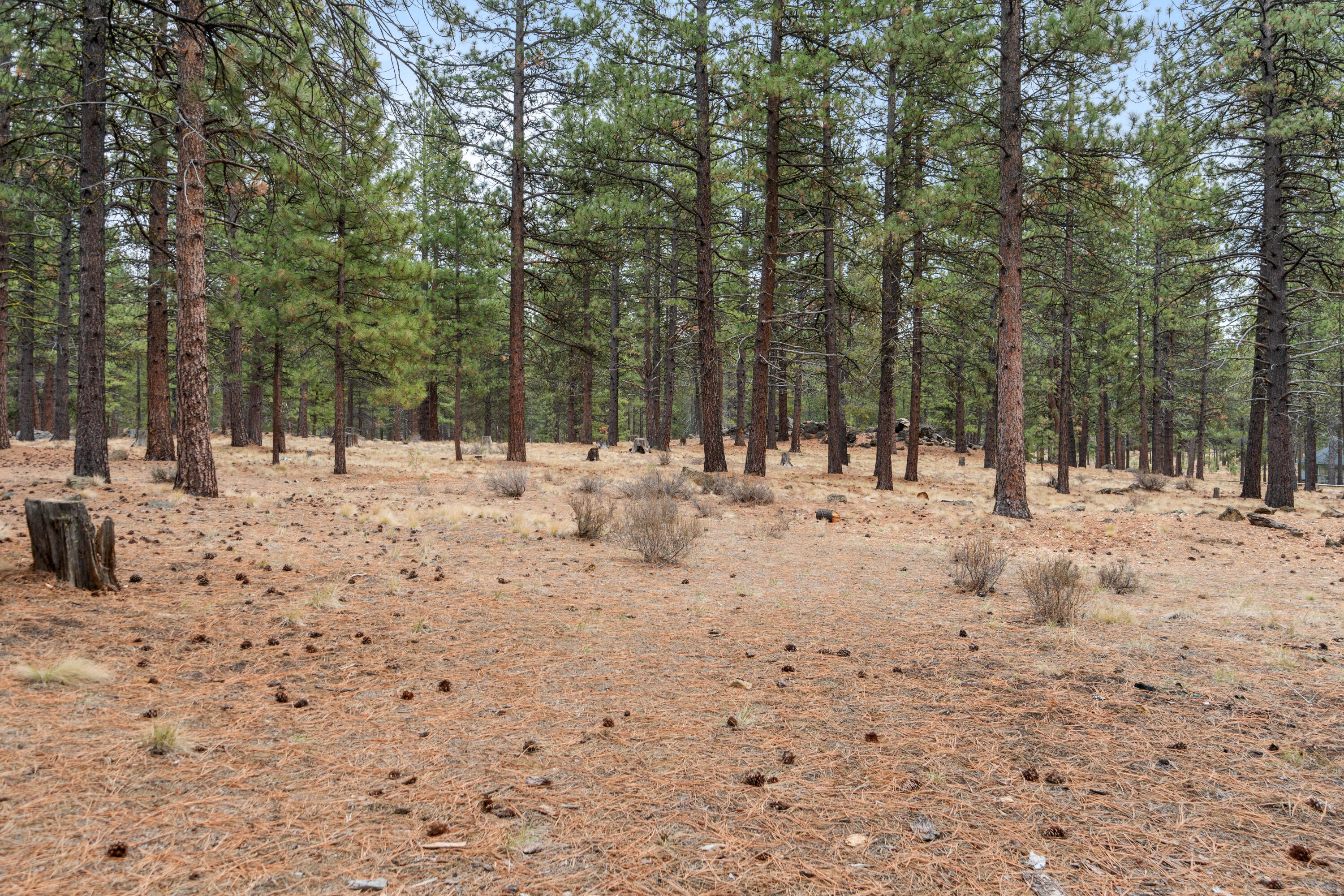 57444 Quartz Mountain Lane
