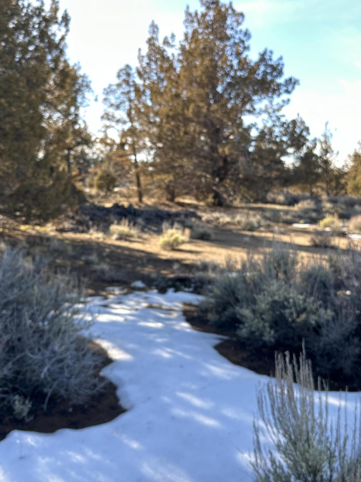 61955 Somerset Drive