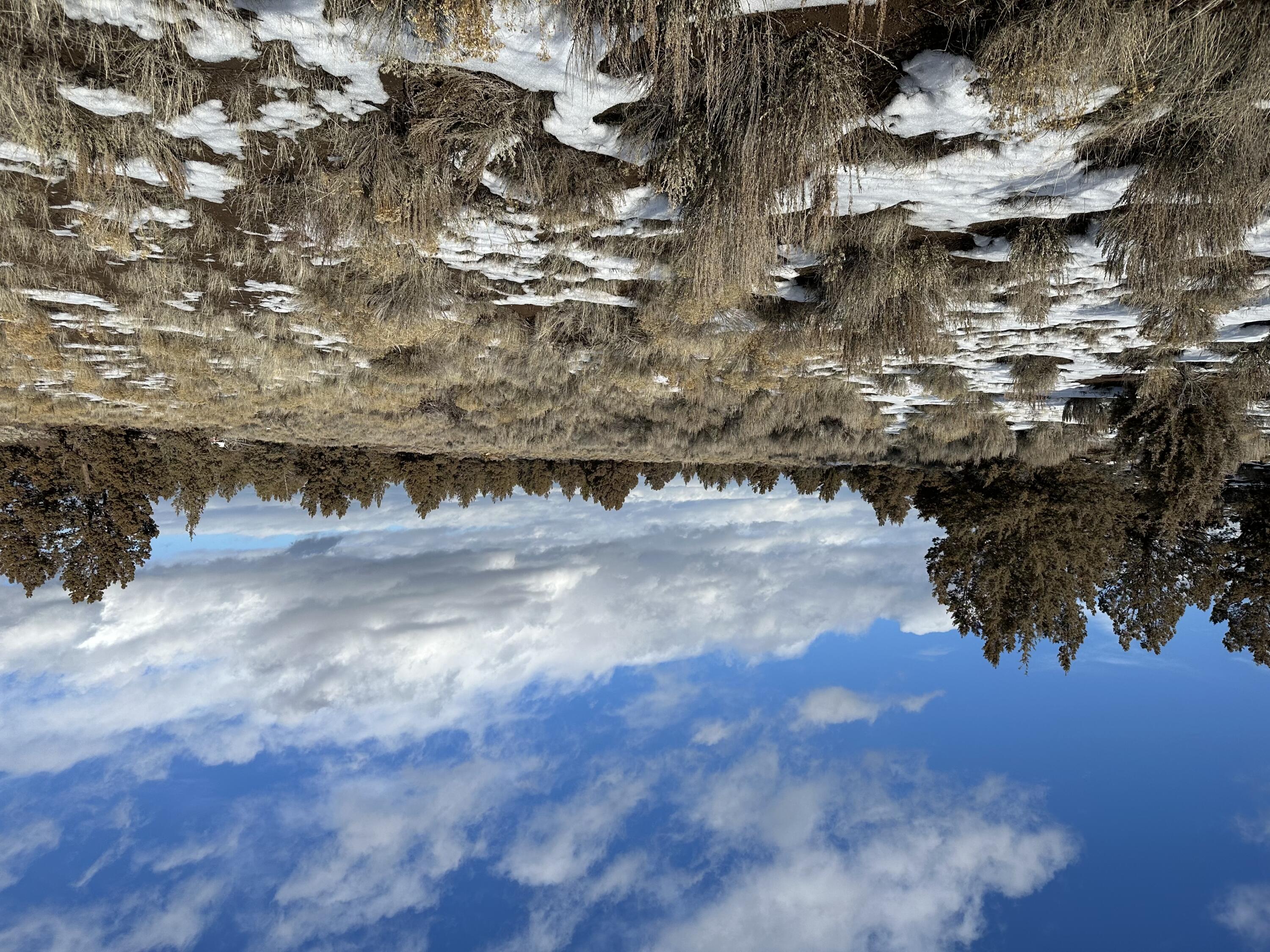 61955 Somerset Drive