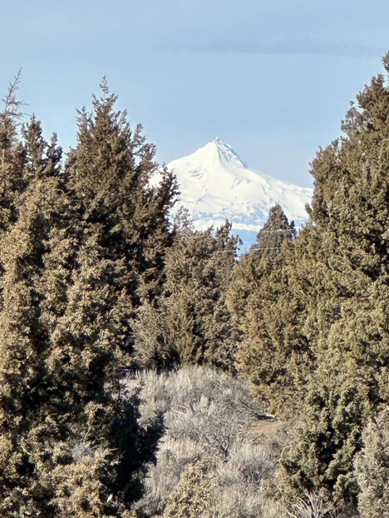 61955 Somerset Drive