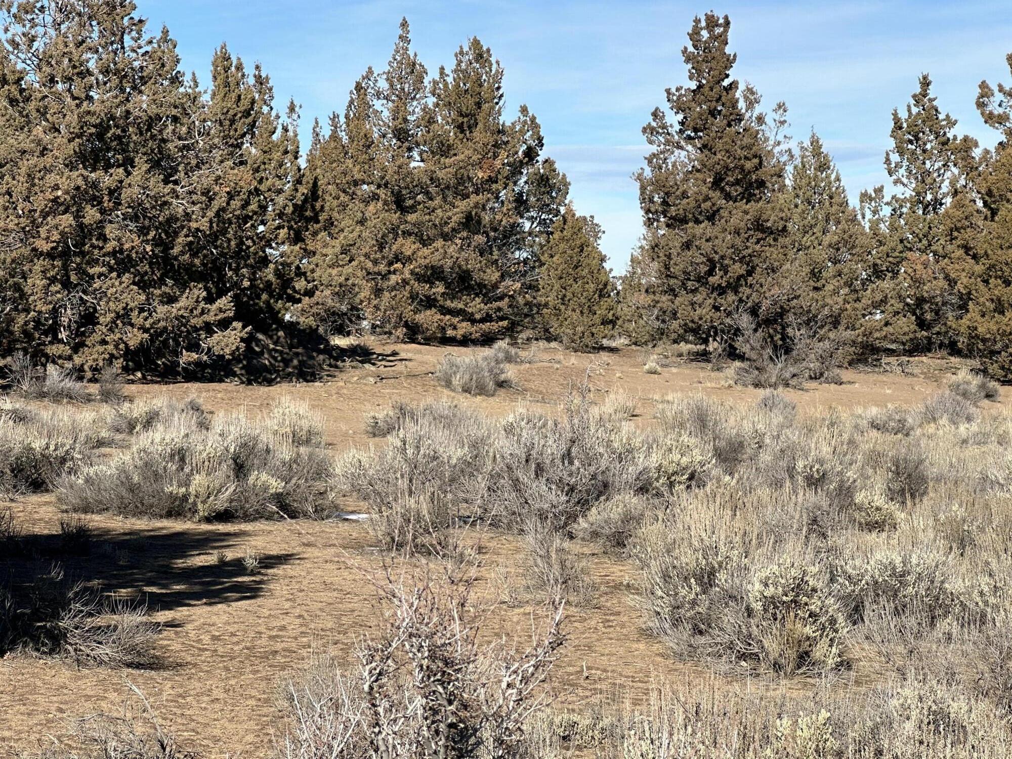 61955 Somerset Drive