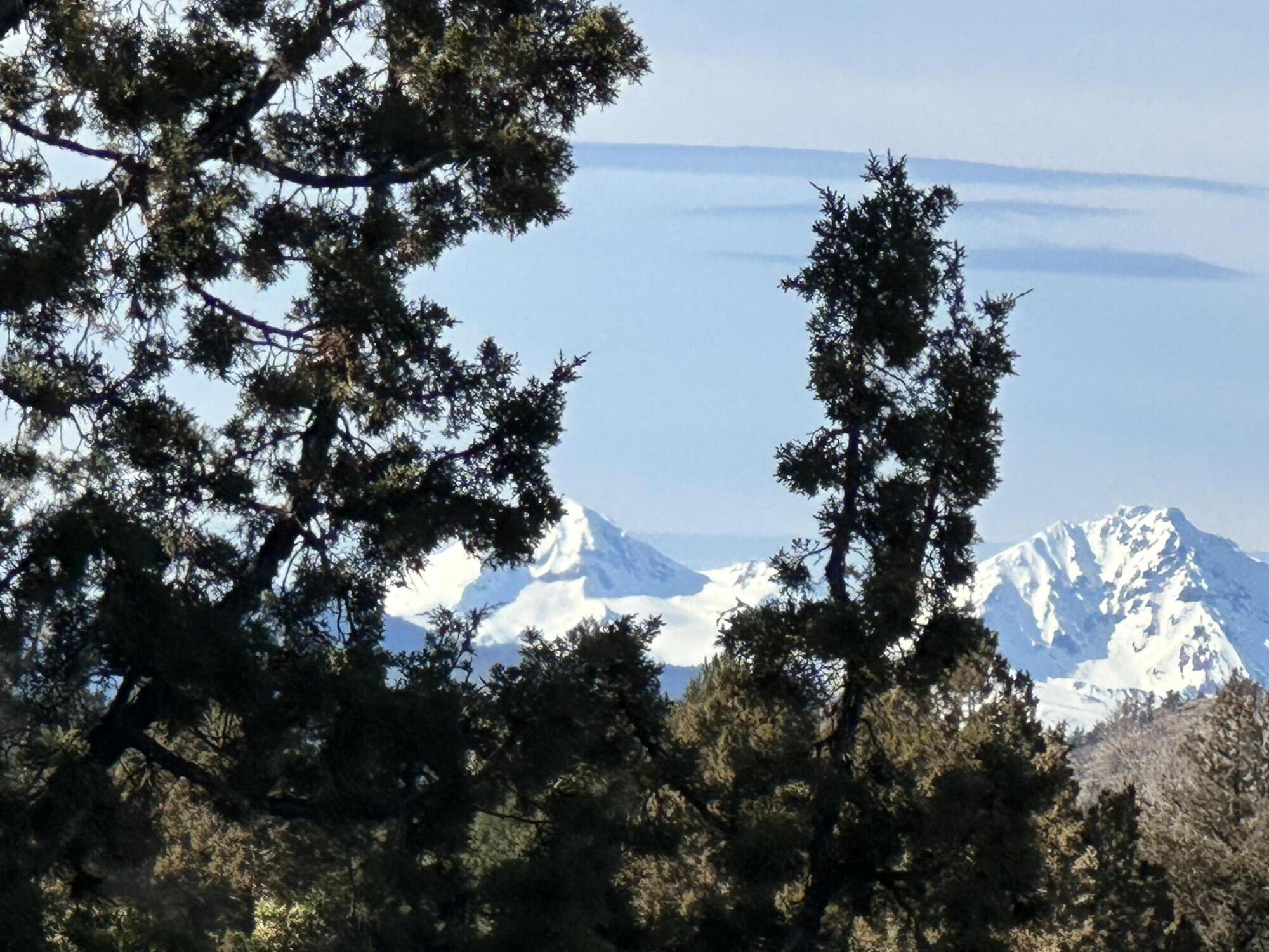 61955 Somerset Drive