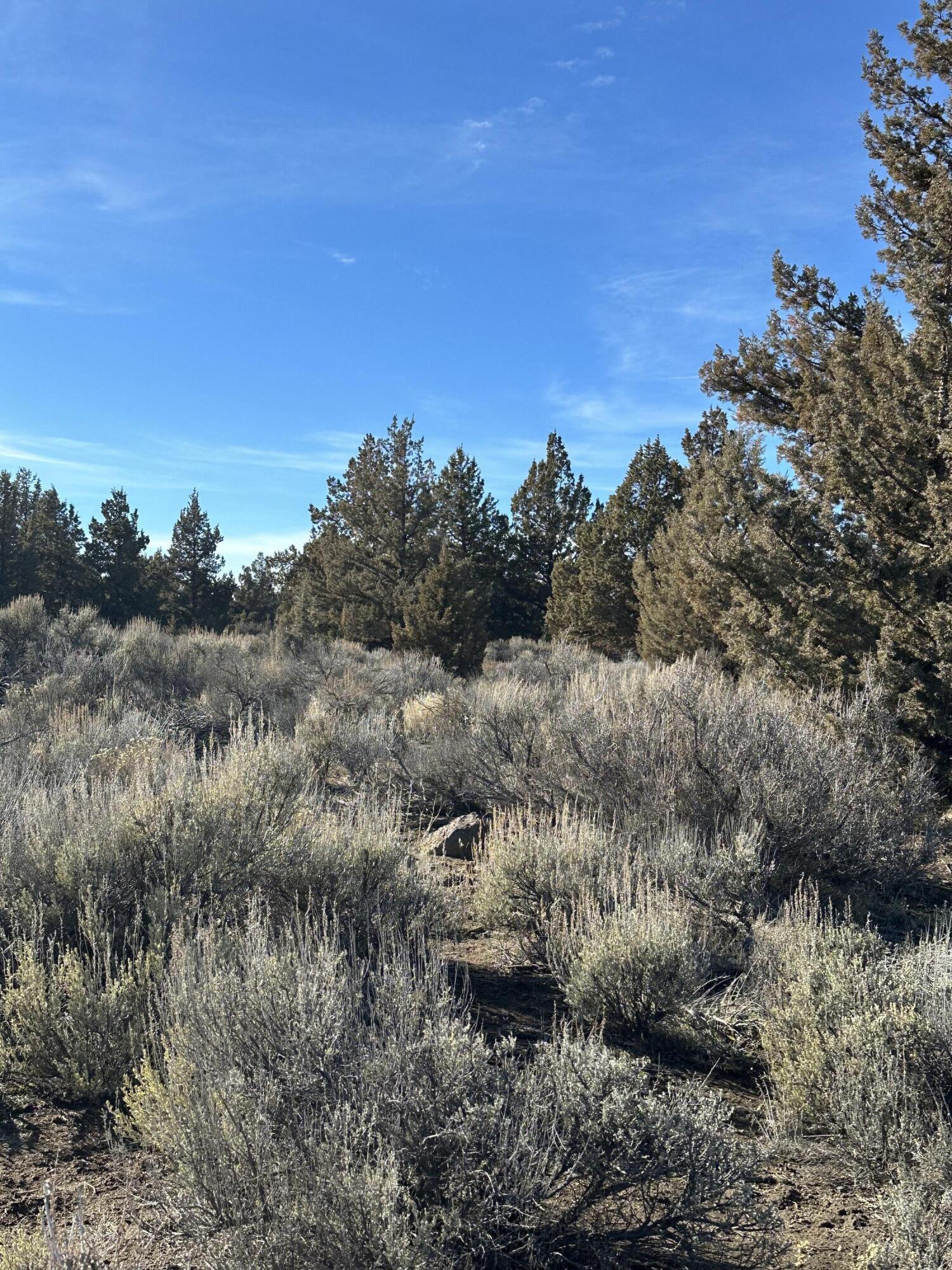 61955 Somerset Drive