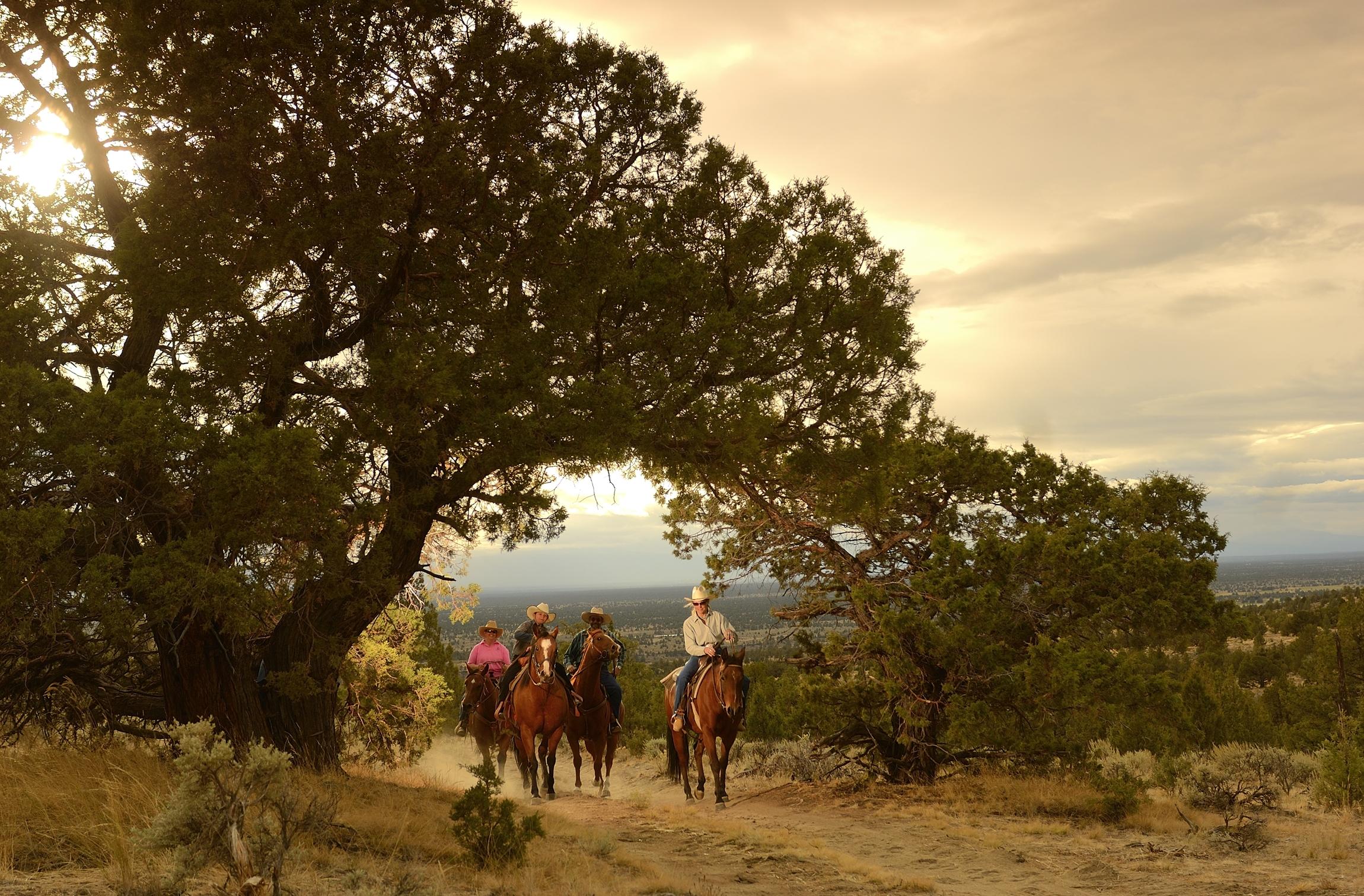 SW Brasada Ranch Road Unit: Lot 309