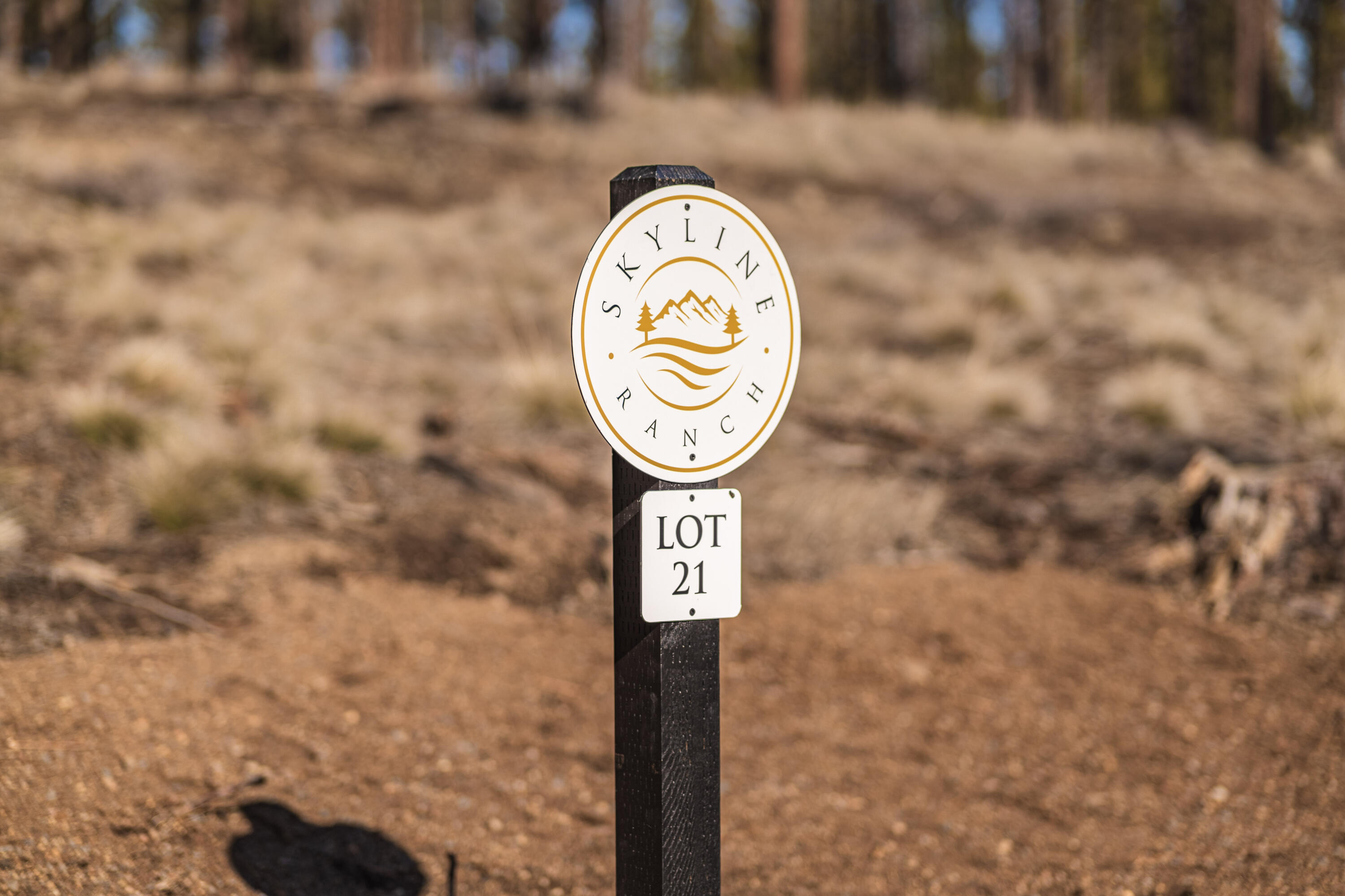 Ostrom Drive Unit: Lot 21