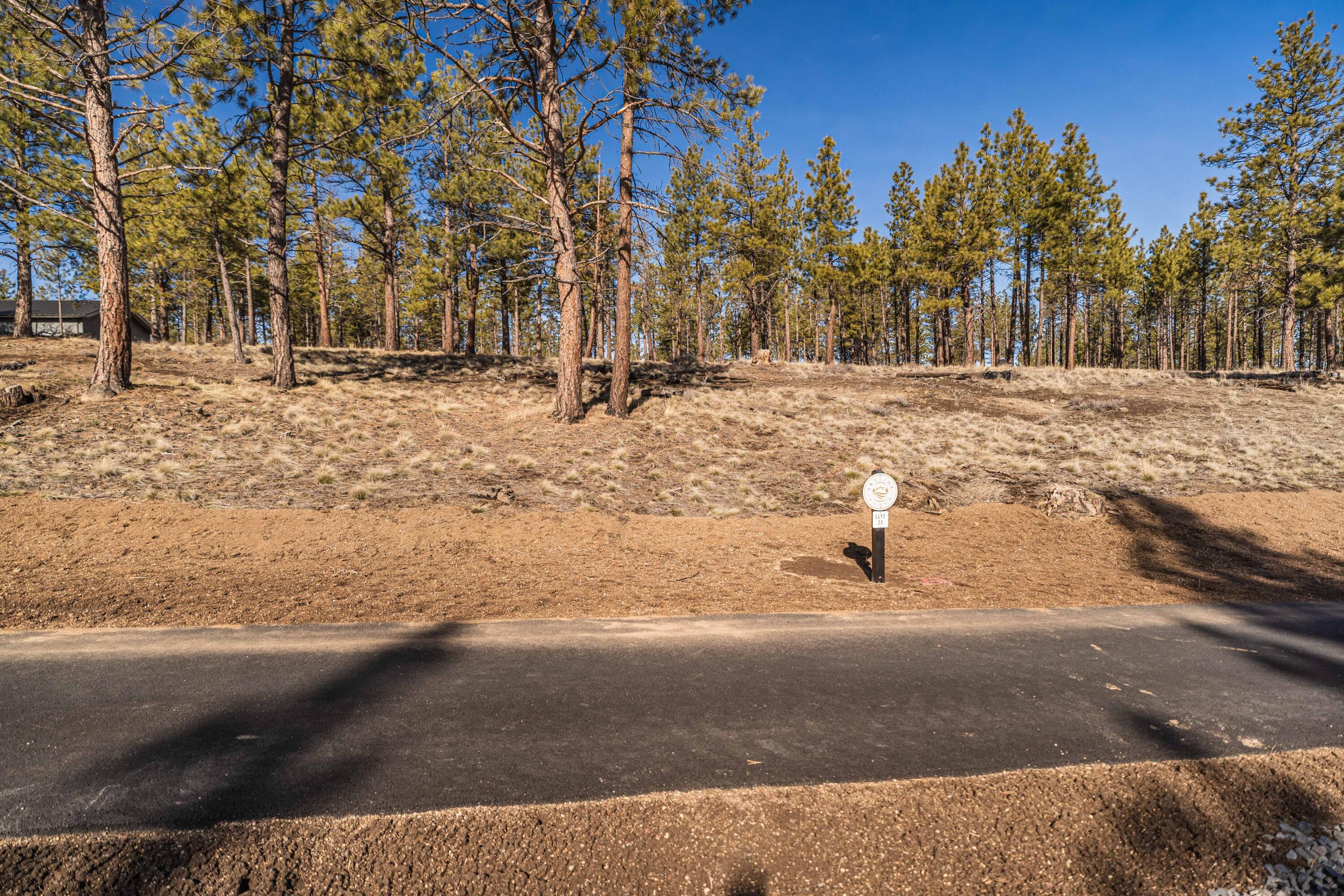 Ostrom Drive Unit: Lot 21