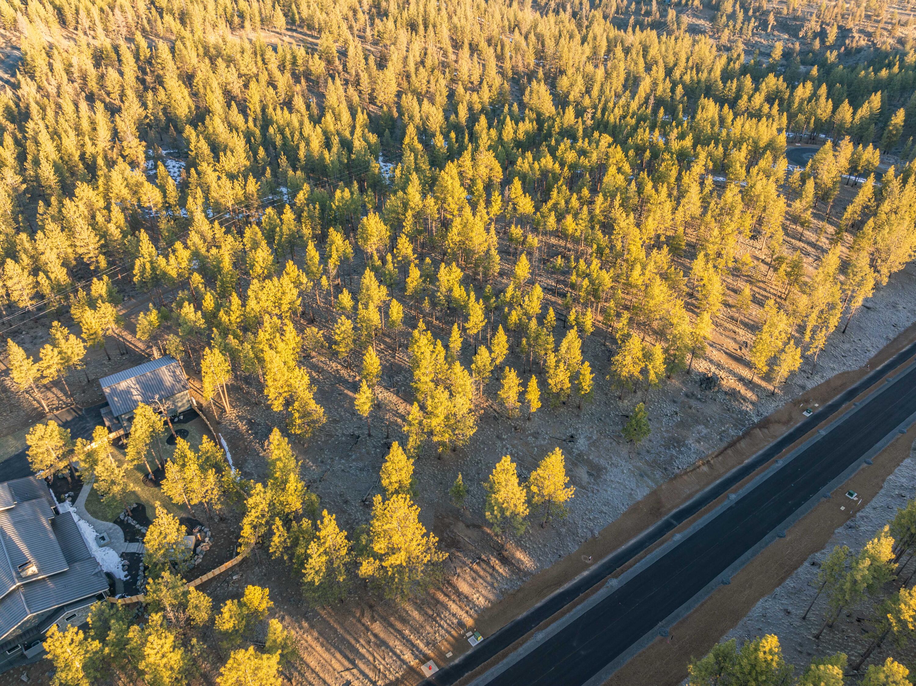Ostrom Drive Unit: Lot 21