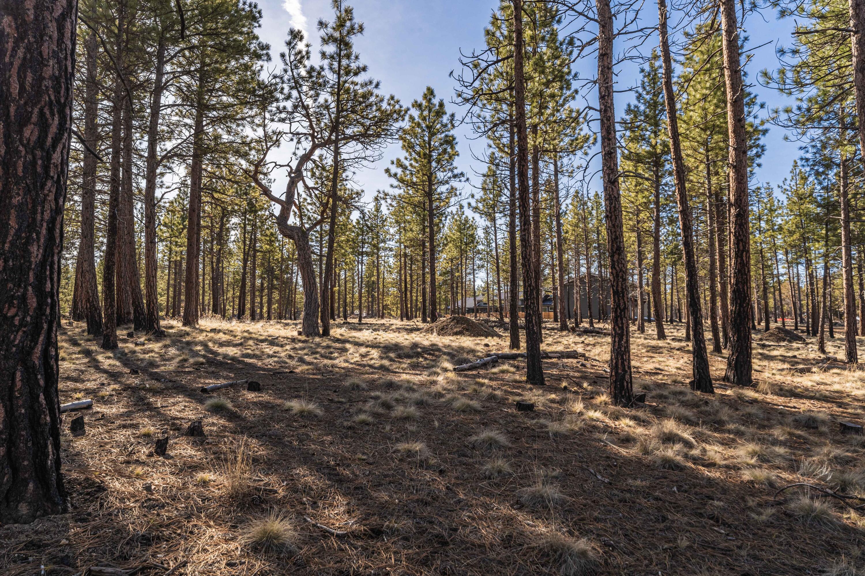 Ostrom Drive Unit: Lot 21